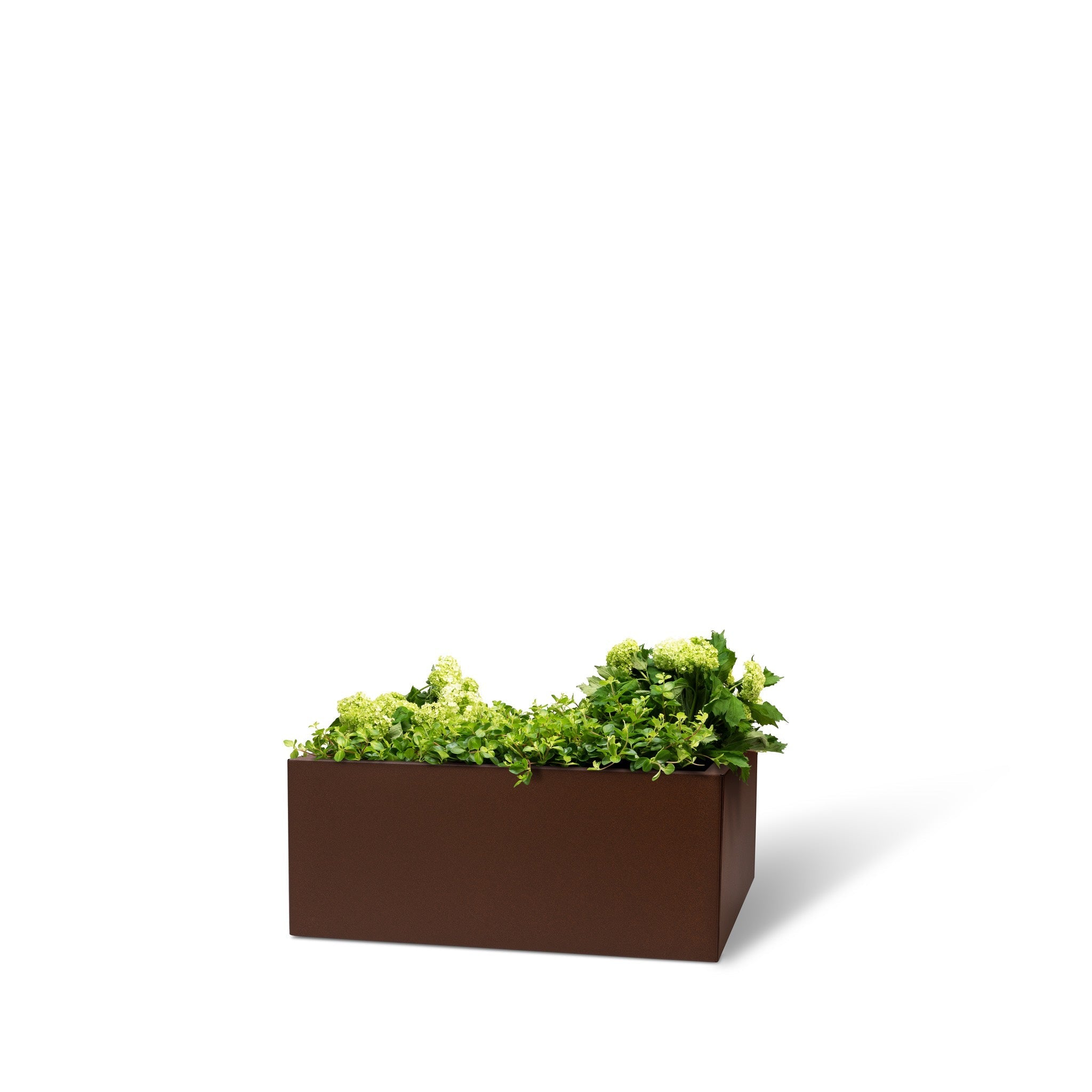 Bedd Steel Patio Planter Boxes - 2' Square Planters Rust 10" option3
