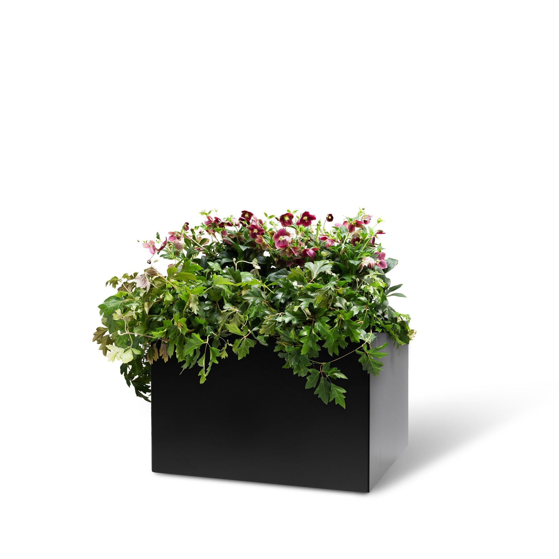 Bedd Steel Patio Planter Boxes - 2' Square Planters Black 16"