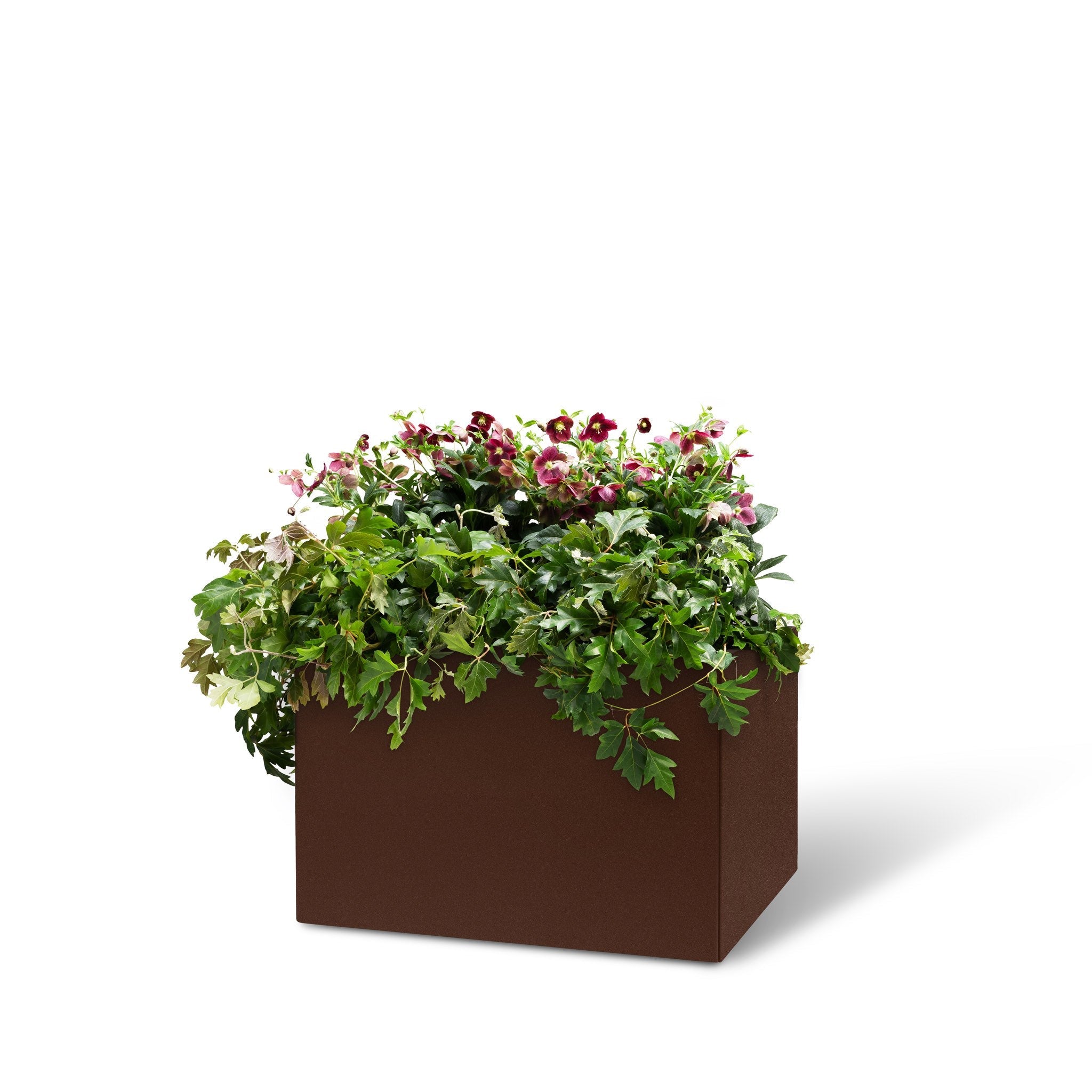 Bedd Steel Patio Planter Boxes - 2' Square Planters Rust 16"