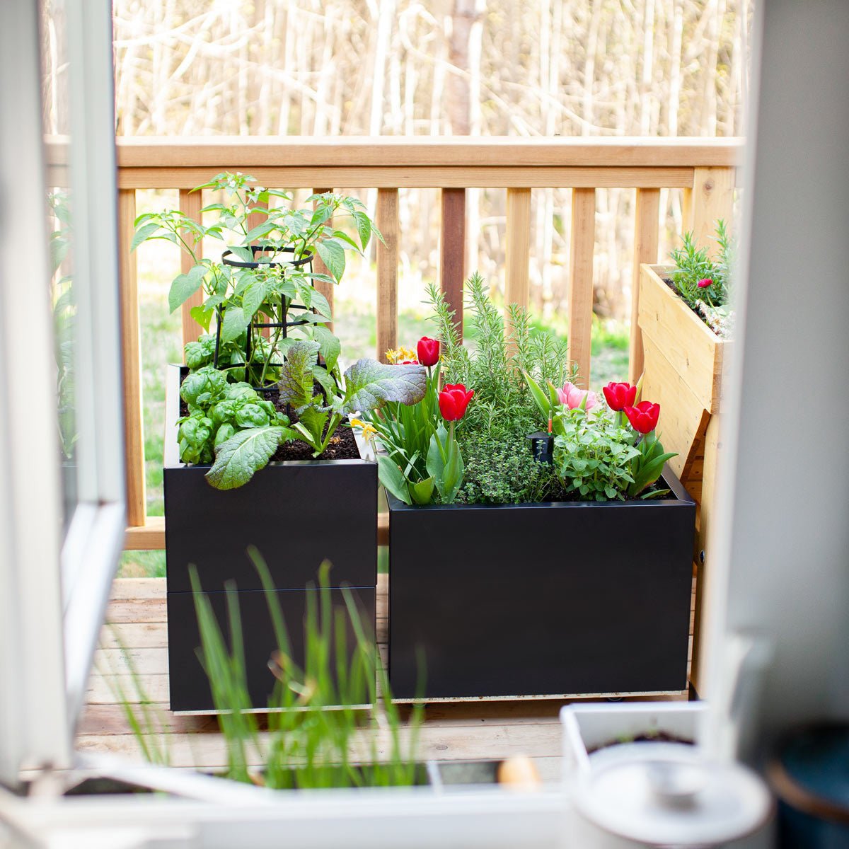 Bedd Steel Patio Planter Boxes - Rectangular Planters 16" W x 31" L 10" Black