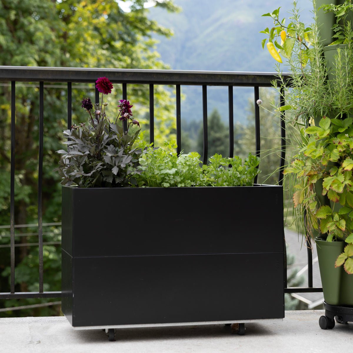 Bedd Steel Patio Planter Boxes - Rectangular Planters 16" W x 31" L 10" Black