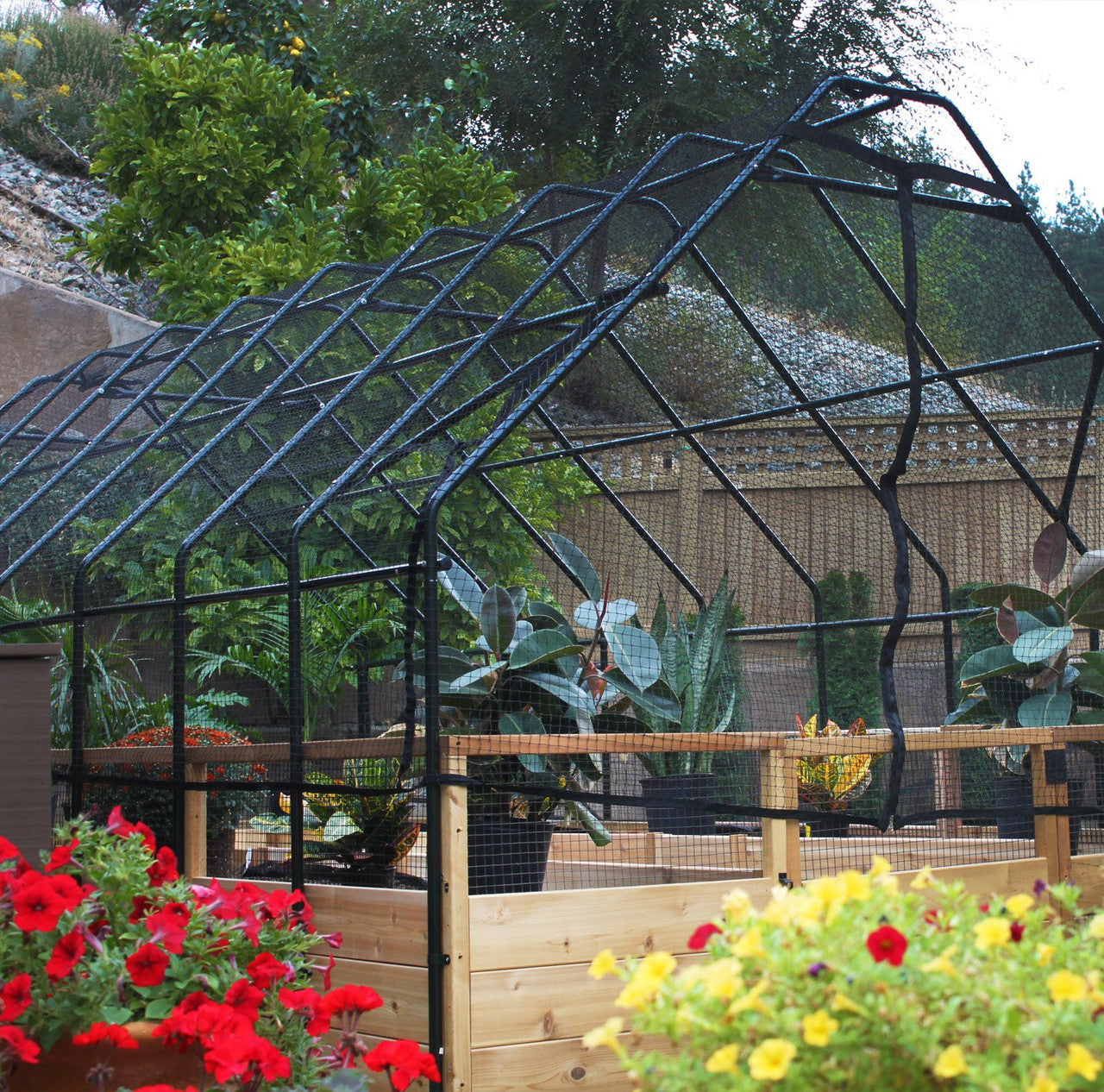 Cedar Complete Raised Garden Bed Kit with Bird Netting Cover 8' x 12'