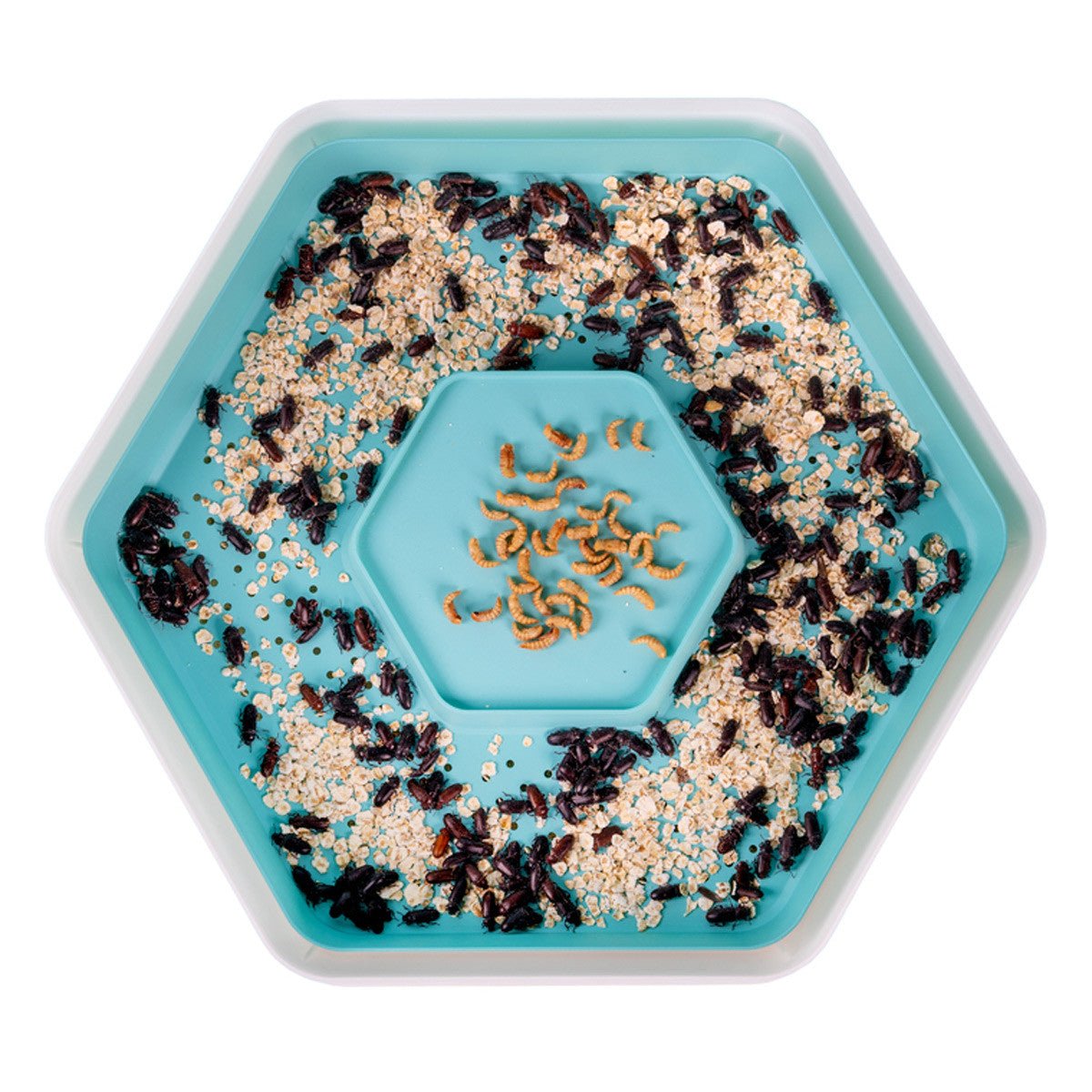Bug Factory Mealworm Habitat & Composter Small - 3 Pod