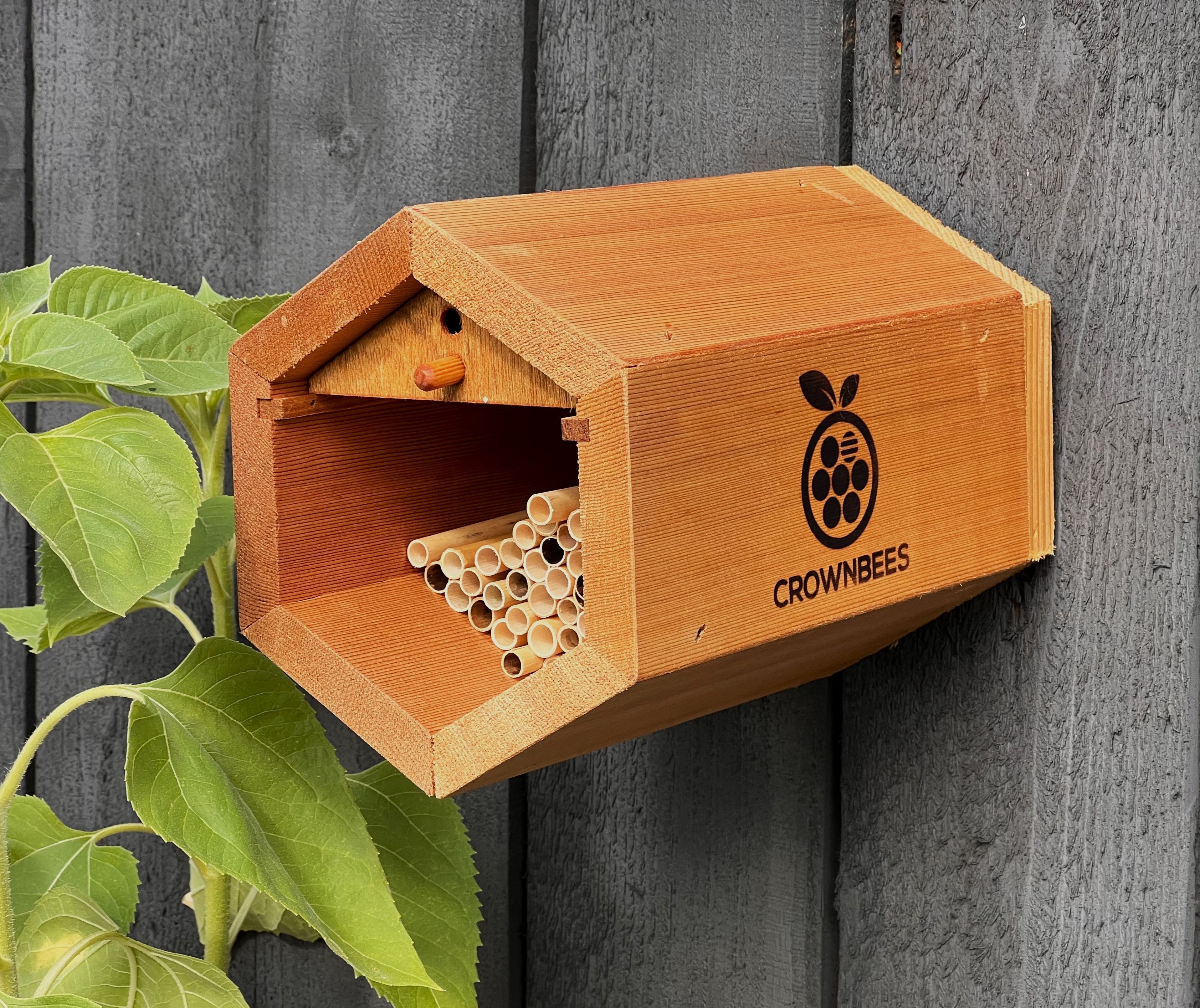 Cedar Cabana Complete Kit Bee House & Bee Certificate
