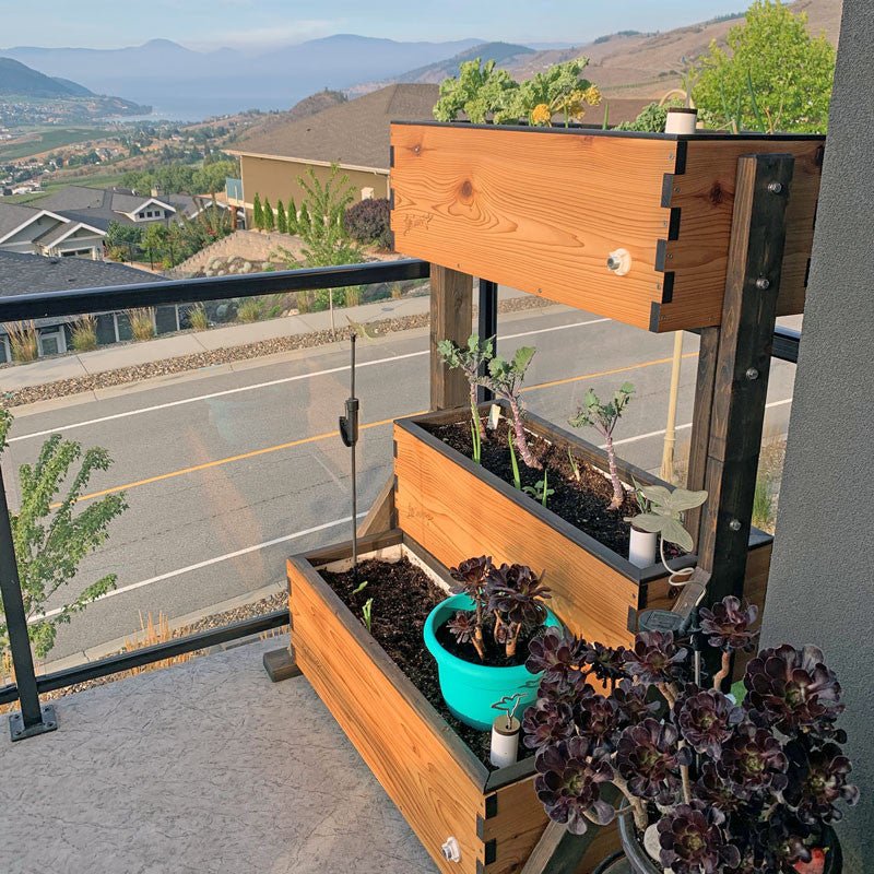 Canopy Self-Watering Vertical Cedar Planter Raw Cedar