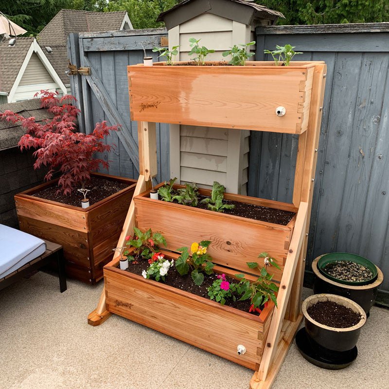 Canopy Self-Watering Vertical Cedar Planter Raw Cedar