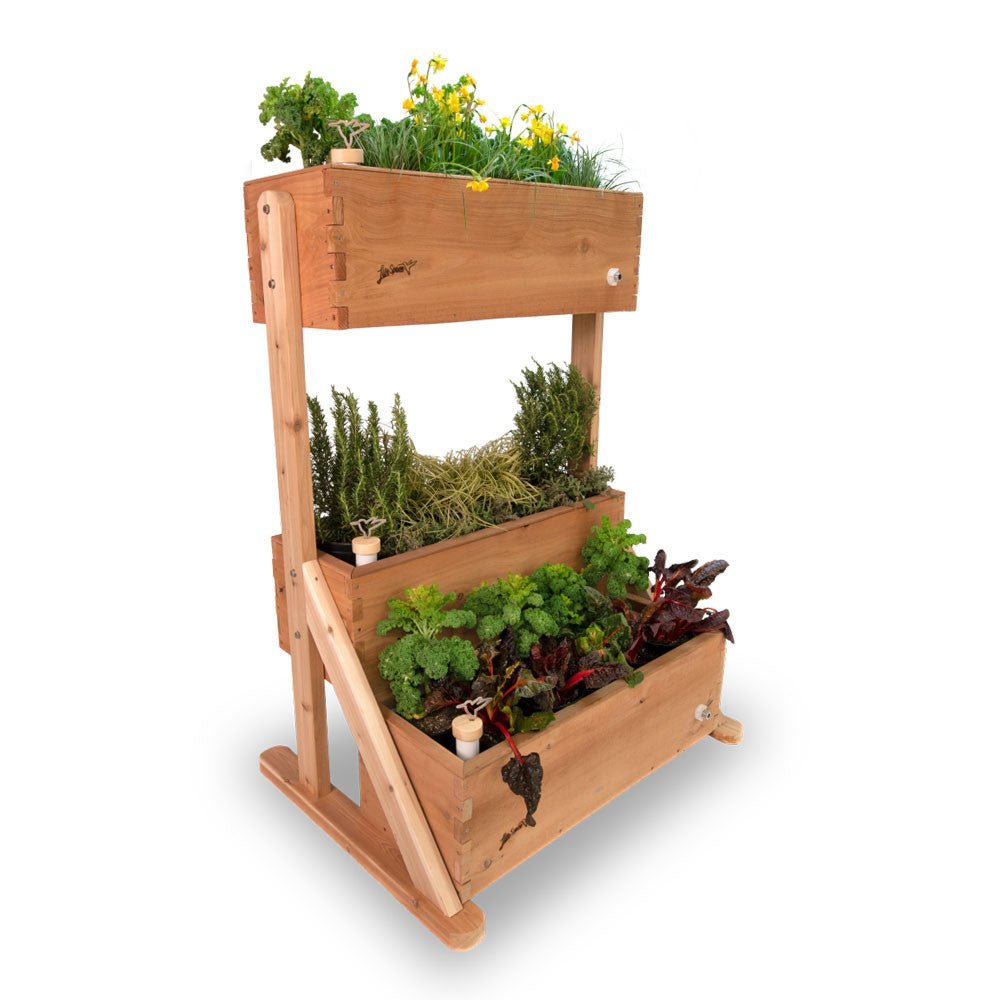Canopy Self-Watering Vertical Cedar Planter Raw Cedar