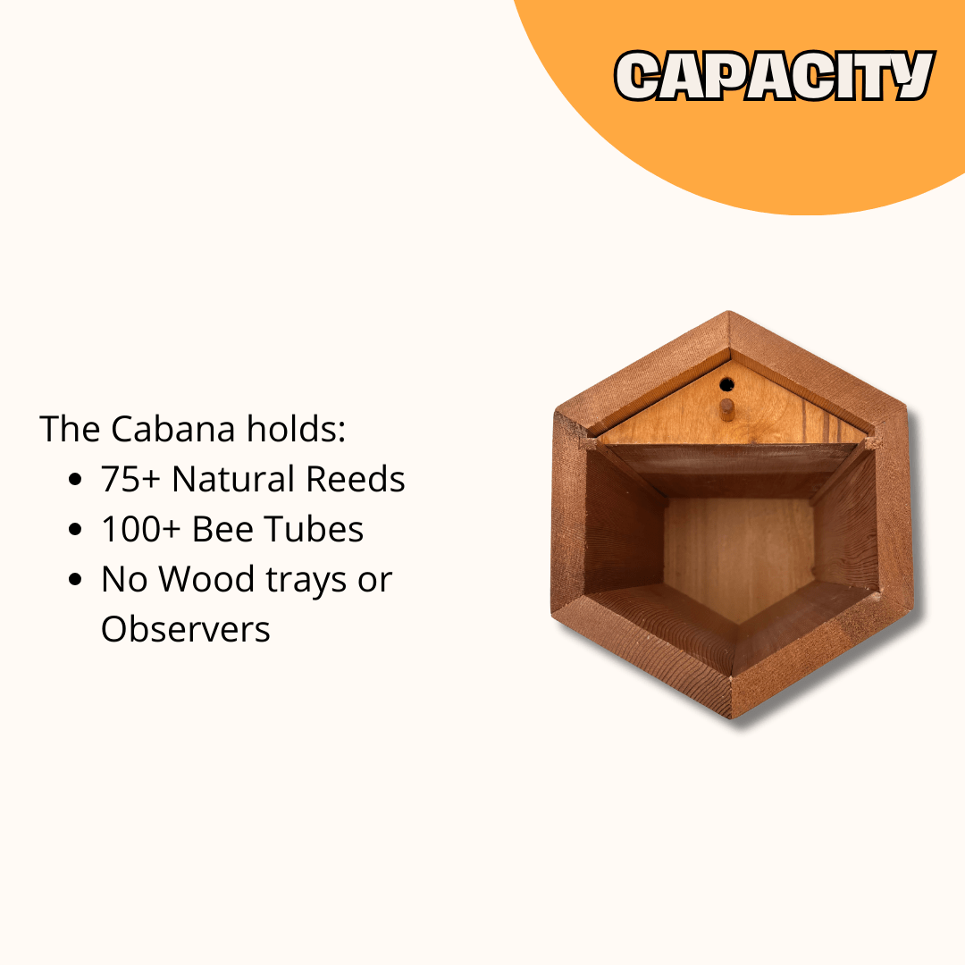 Cedar Cabana Complete Kit Bee House & Bee Certificate Spring Mason Bees (temps 55-80F)