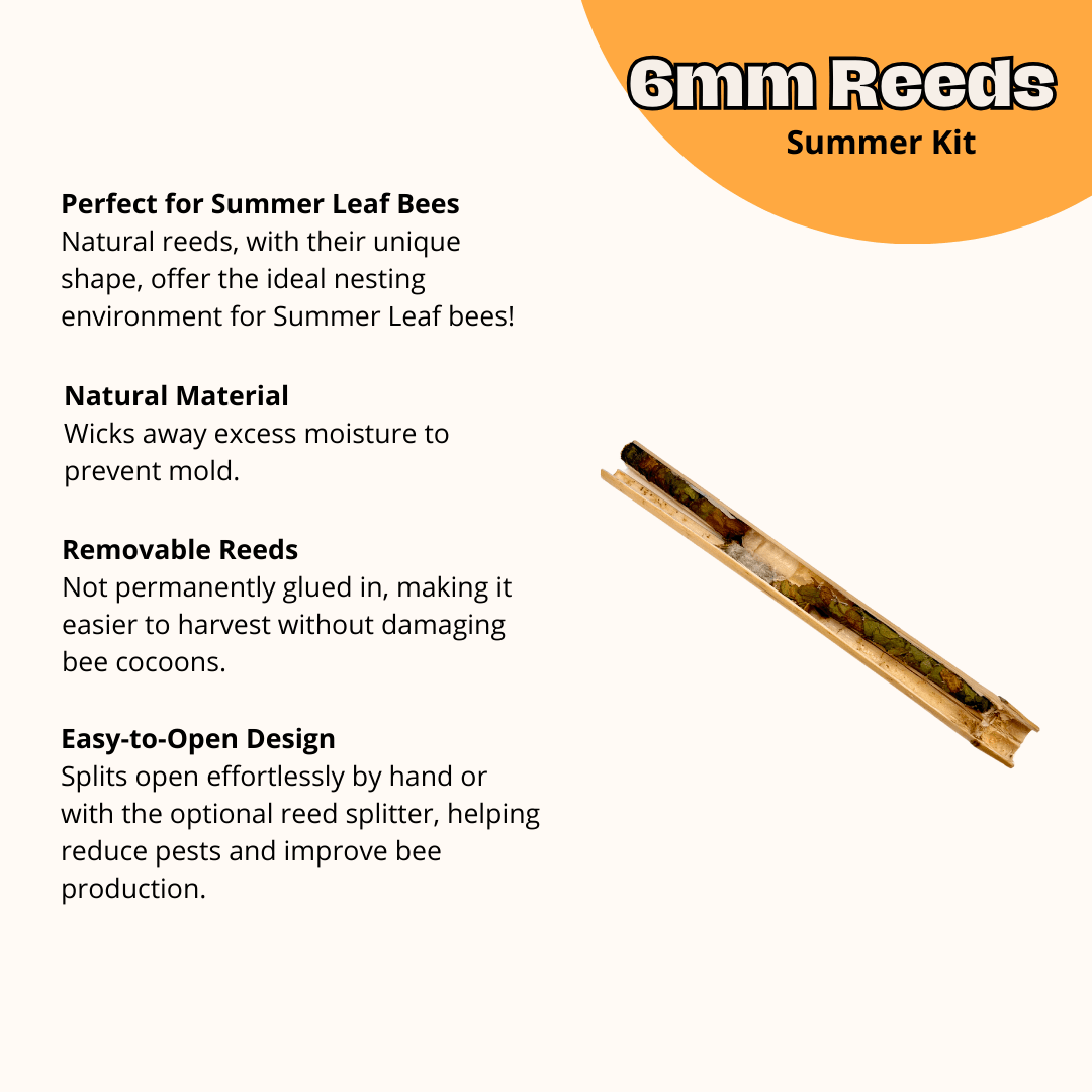 Cedar Cabana Complete Kit Bee House & Bee Certificate Spring Mason Bees (temps 55-80F)