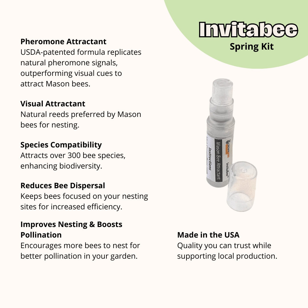 Cedar Cabana Complete Kit Bee House & Bee Certificate Spring Mason Bees (temps 55-80F)