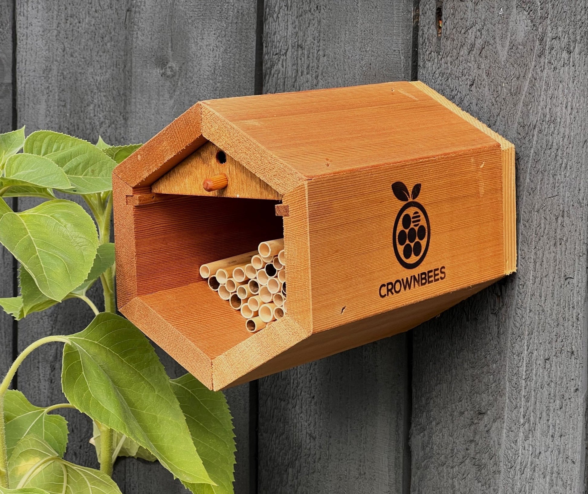 Cedar Cabana Complete Kit Bee House & Bee Certificate Spring Mason Bees (temps 55-80F)