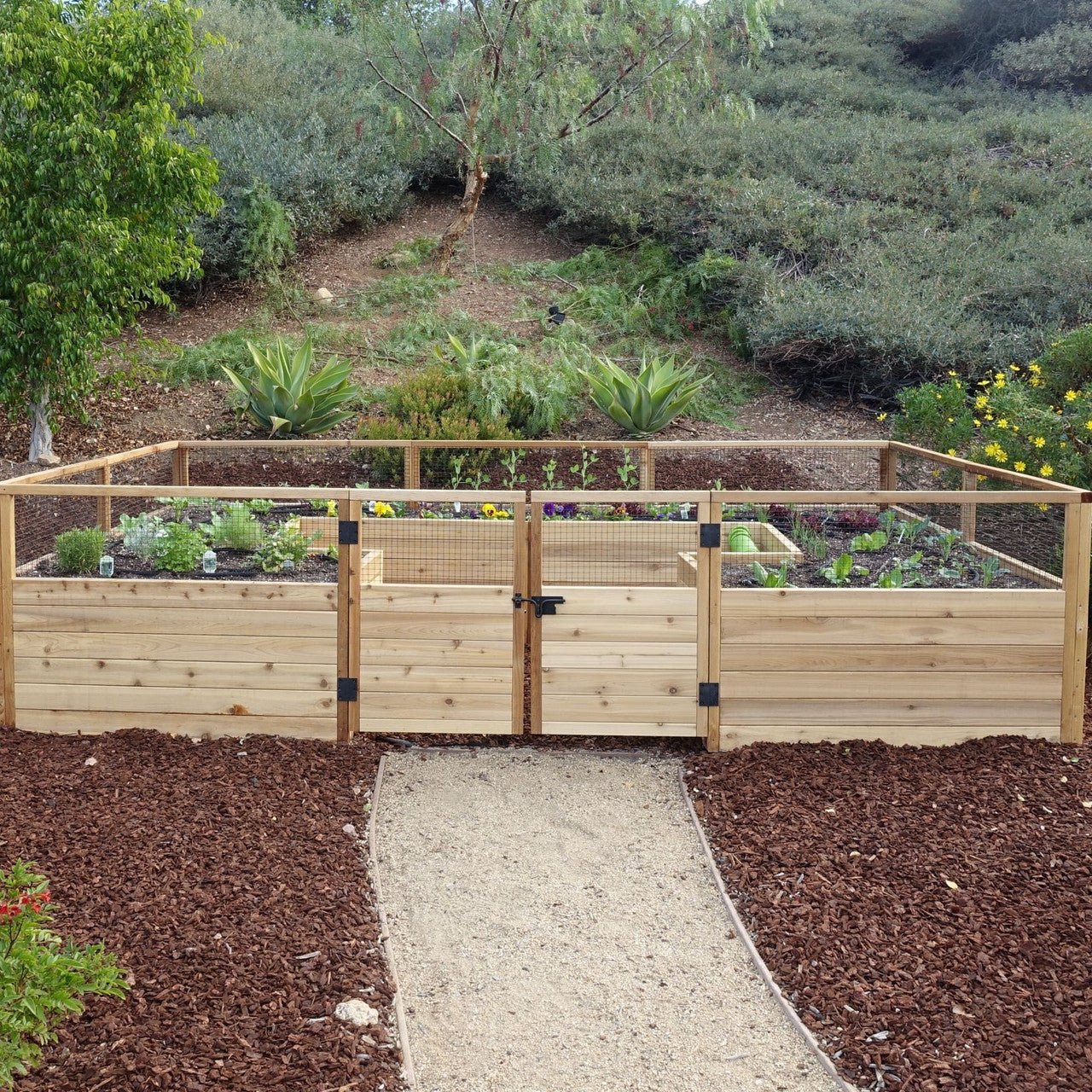 Cedar Complete Raised Garden Bed Kit - 12' x 8' option3