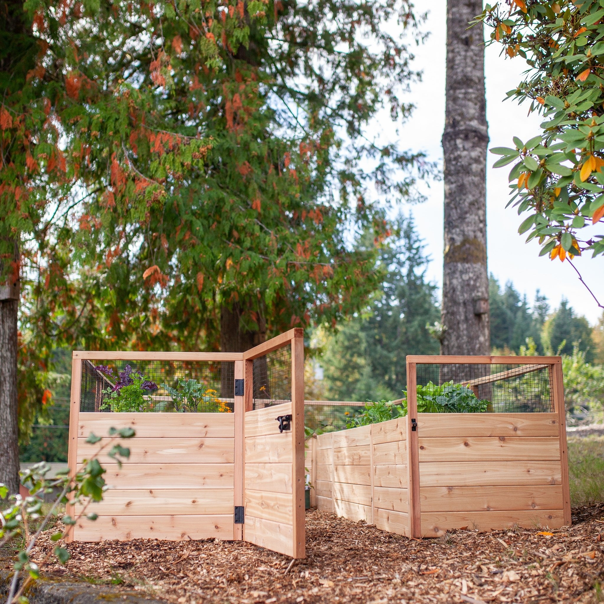 Cedar Complete Raised Garden Bed Kit - 8' x 12'