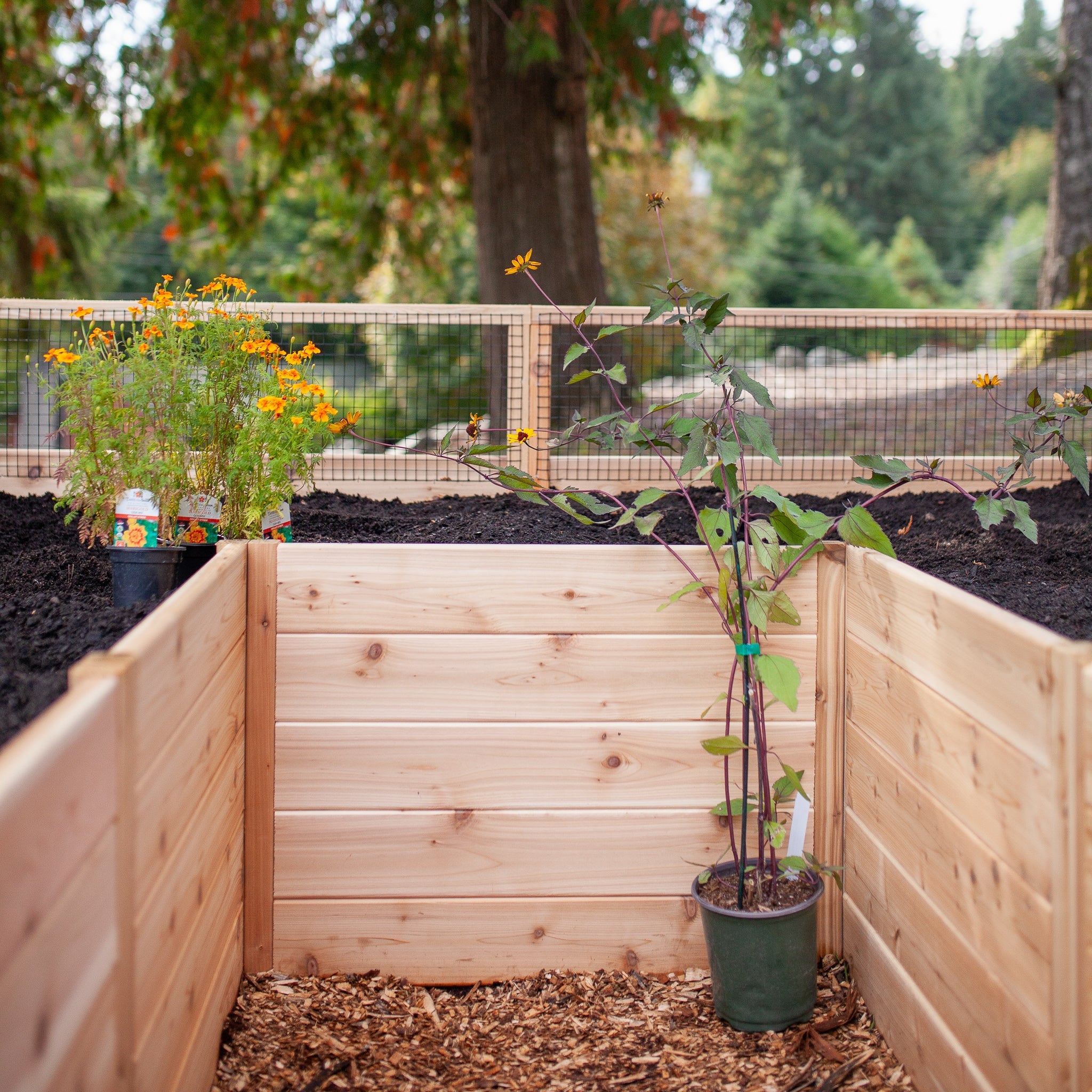 Cedar Complete Raised Garden Bed Kit - 8' x 8' x 20