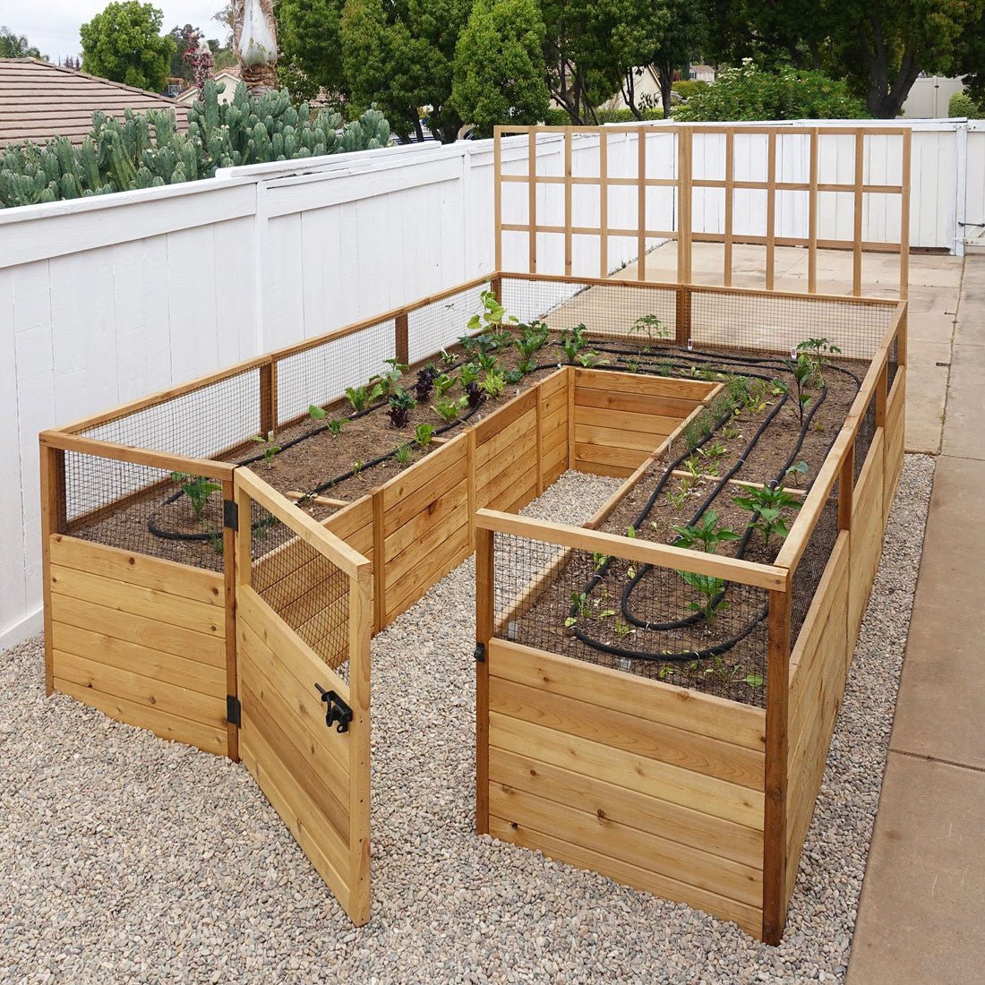 Cedar Complete Raised Garden Bed Kit - 8' x 12'