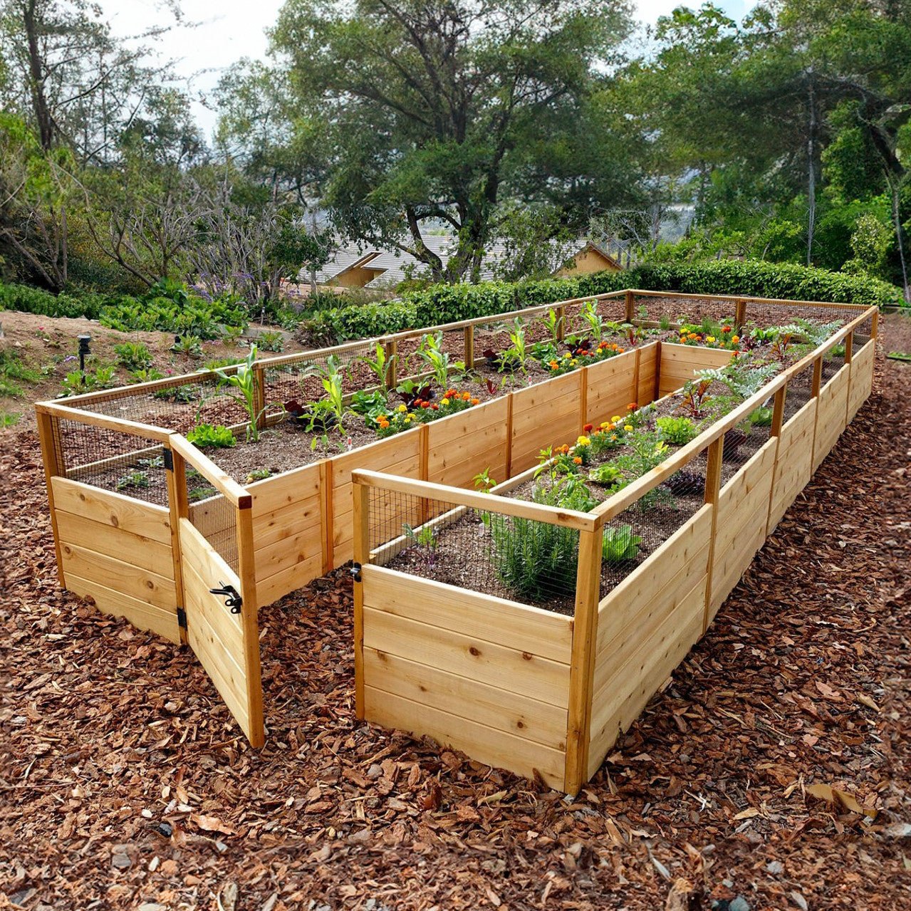Cedar Complete Raised Garden Bed Kit - 8' x 16' option3