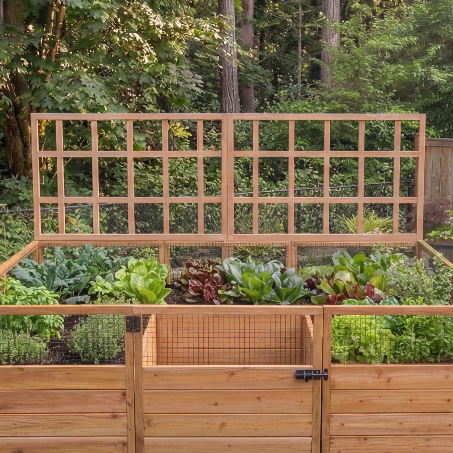 Cedar Complete Raised Garden Bed Kit - 8' x 5' x 20" option3