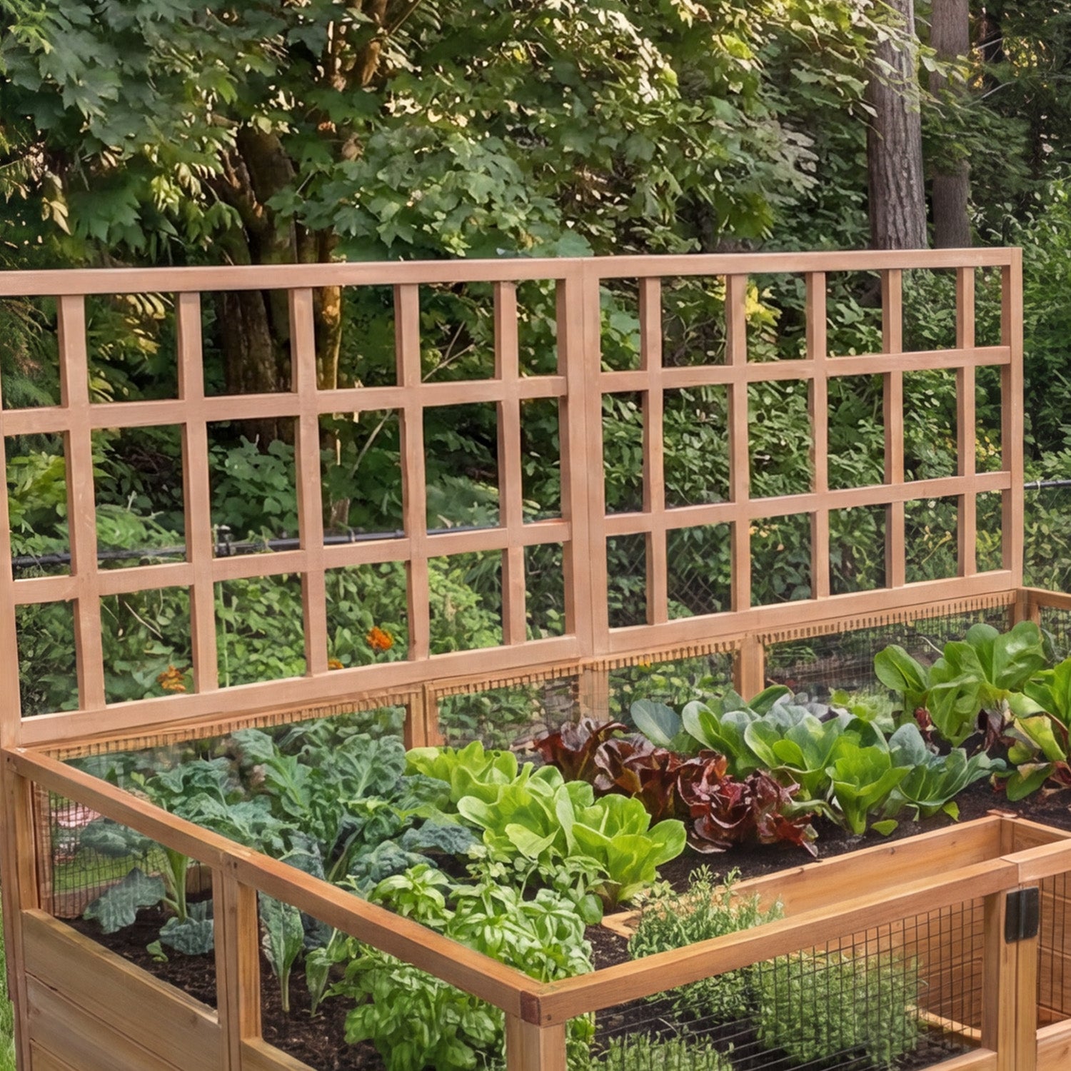 Cedar Complete Raised Garden Bed Kit - 8' x 5' x 20" option3