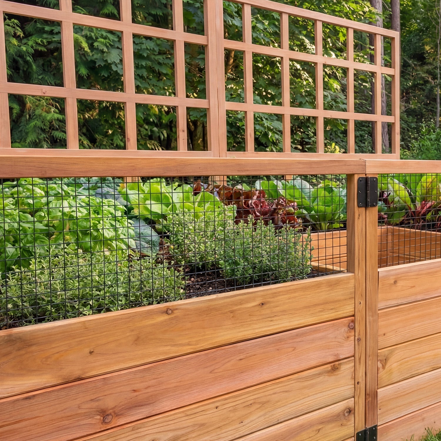 Cedar Complete Raised Garden Bed Kit - 8' x 5' x 20" option3