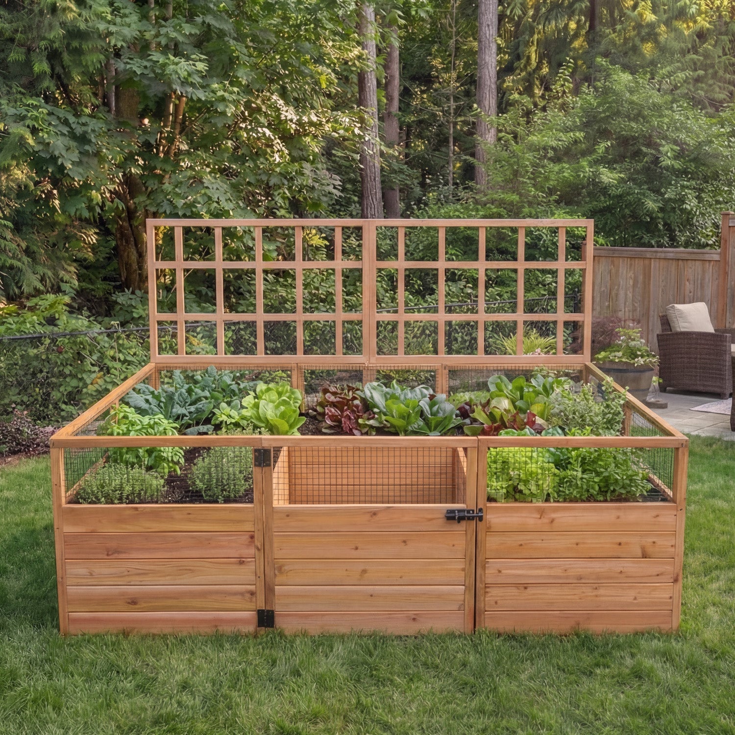 Cedar Complete Raised Garden Bed Kit - 8' x 5' x 20" option3