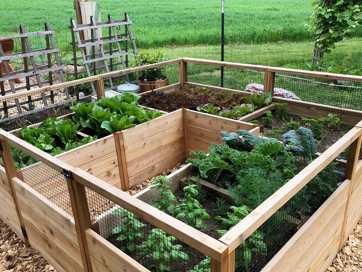 Cedar Complete Raised Garden Bed Kit - 8' x 8' x 20"