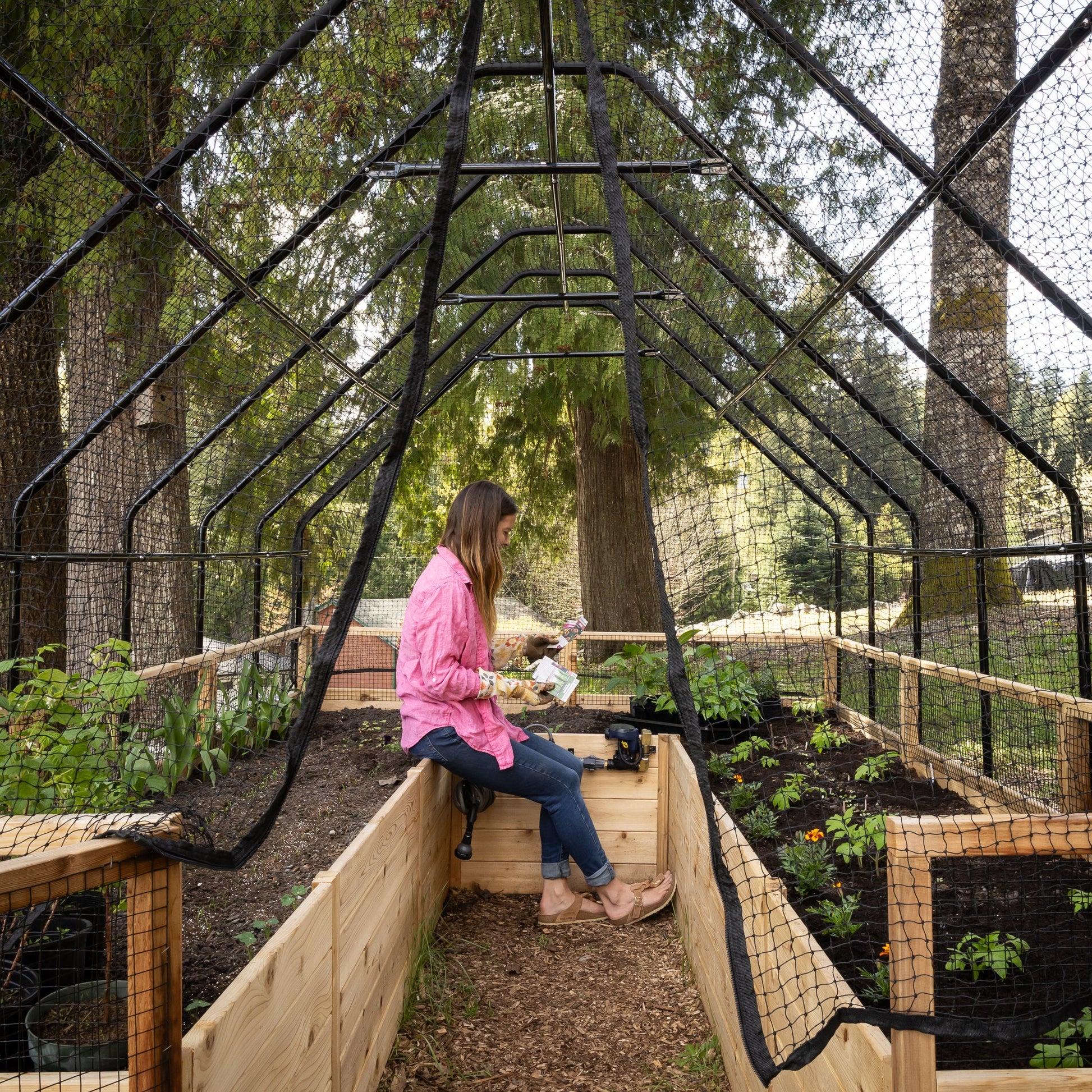 Cedar Complete Raised Garden Bed Kit with Bird Netting Cover 8' x 12'
