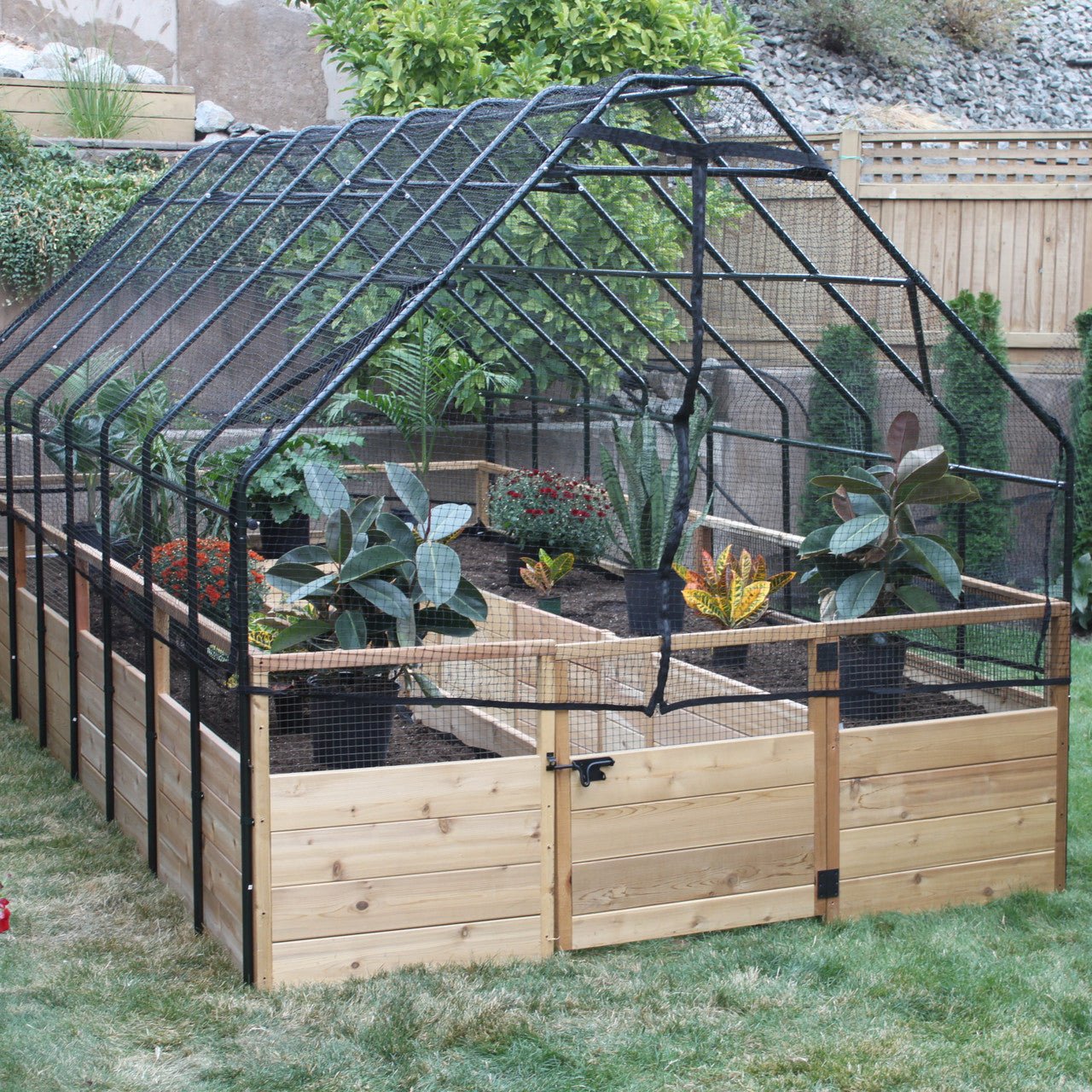 Cedar Complete Raised Garden Bed Kit with Bird Netting Cover 8' x 12' option3