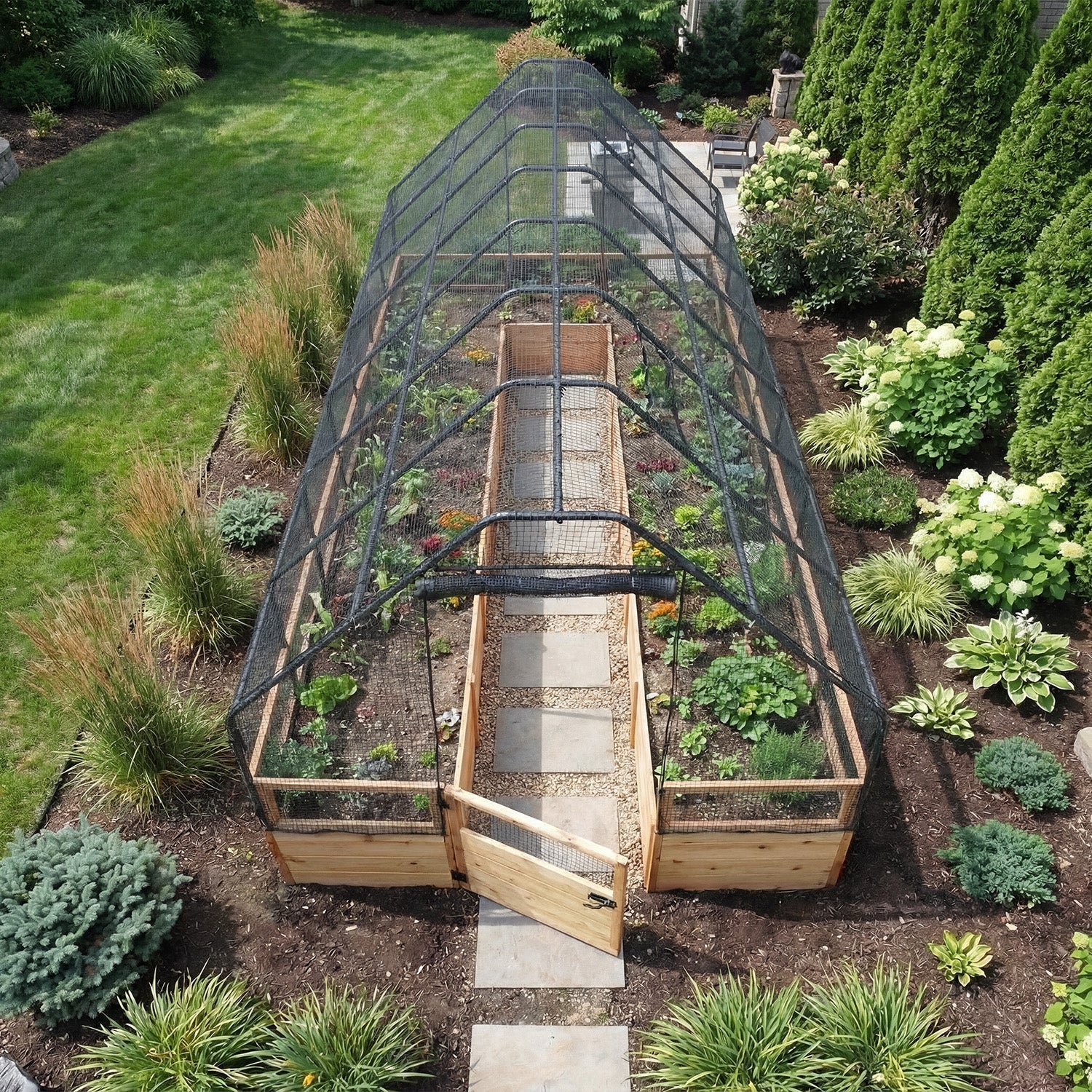 Cedar Complete Raised Garden Bed Kit with Bird Netting Cover 8' x 16' option3