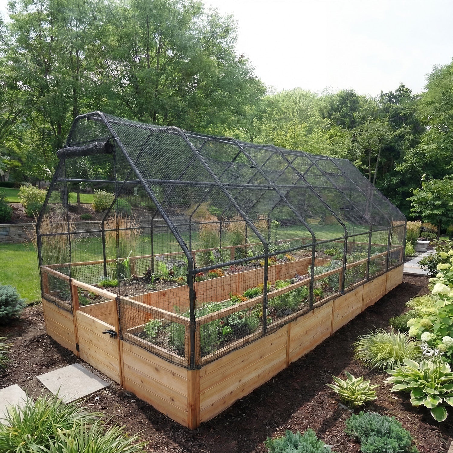 Cedar Complete Raised Garden Bed Kit with Bird Netting Cover 8' x 16' option3