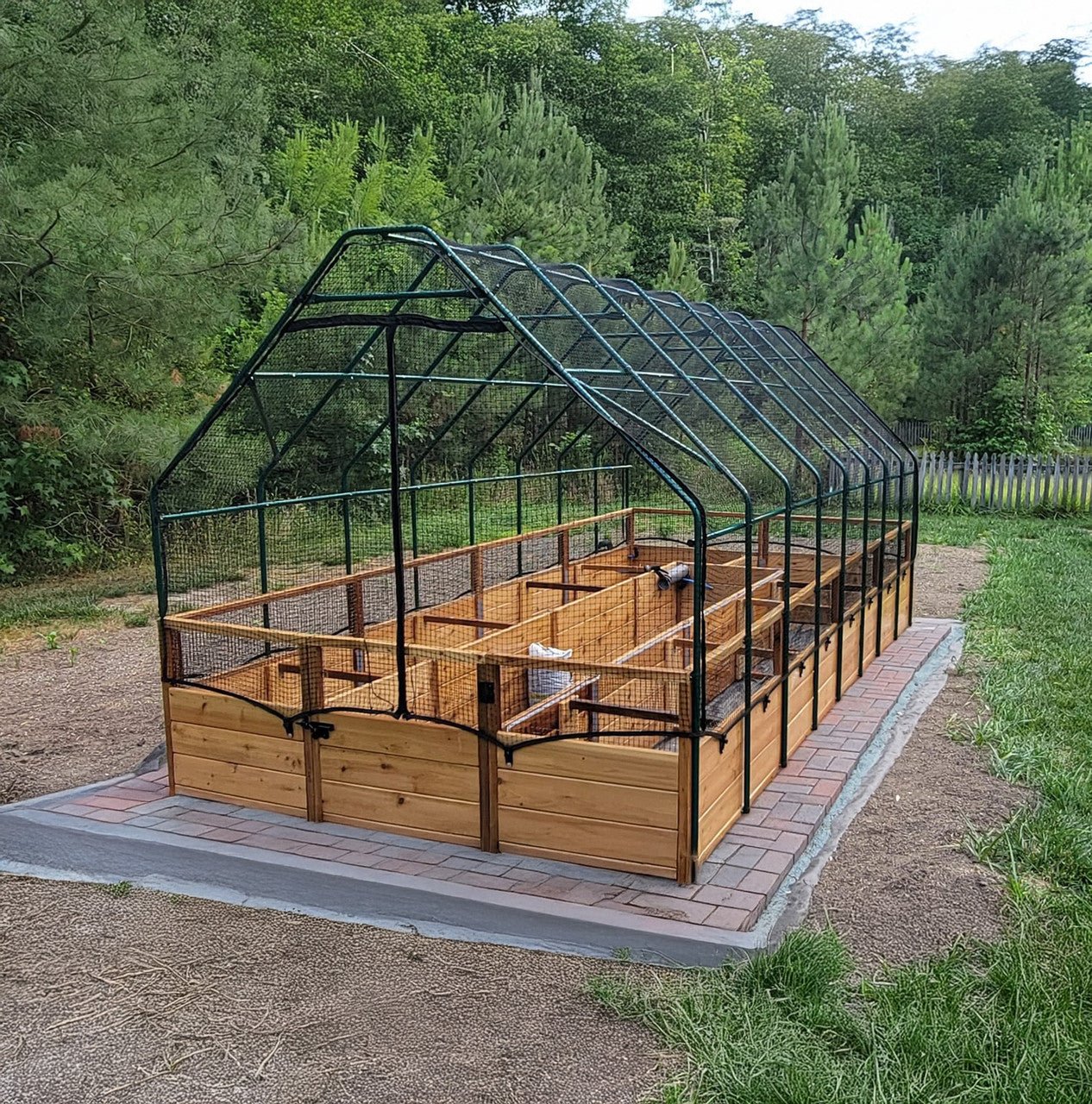 Cedar Complete Raised Garden Bed Kit with Bird Netting Cover 8' x 16' option3