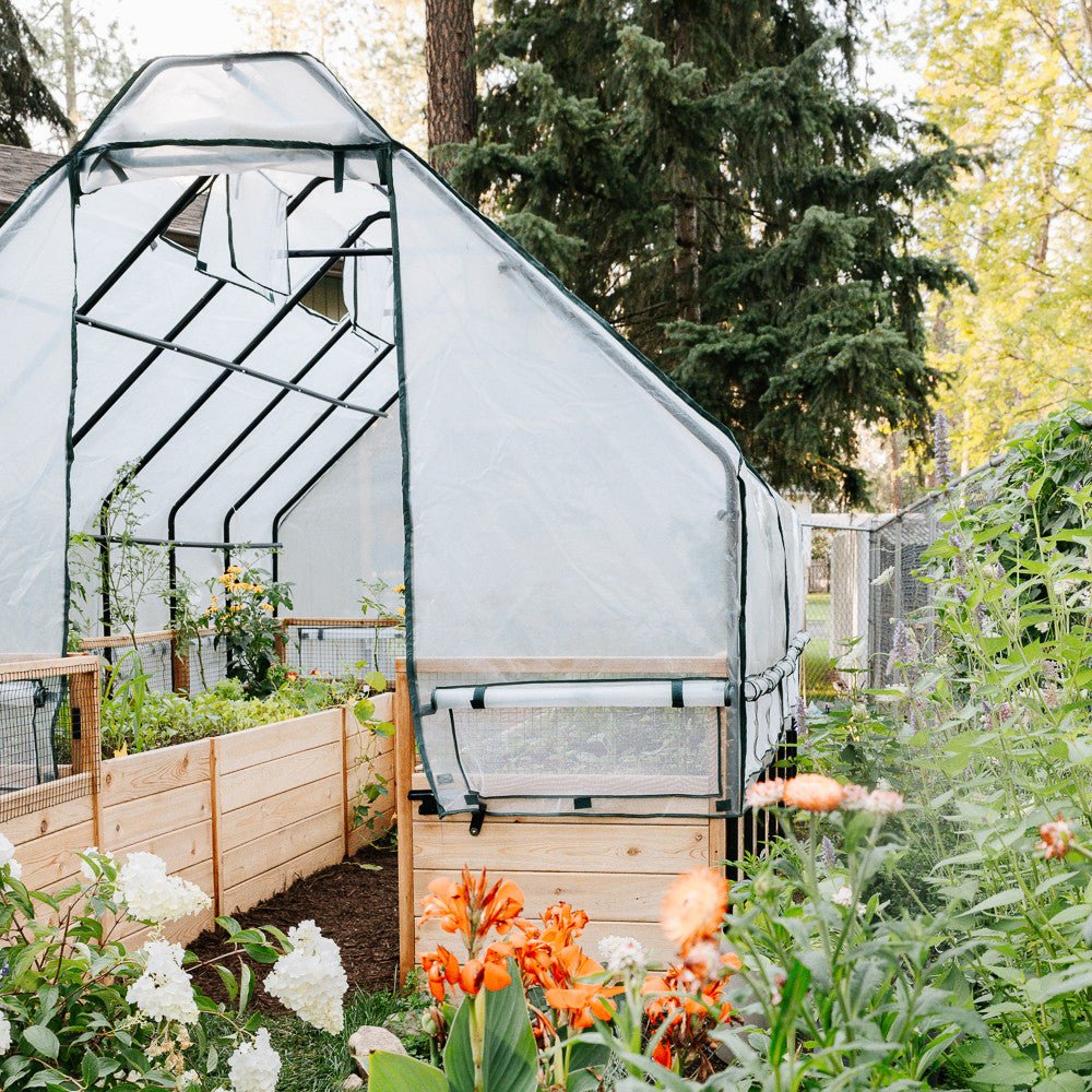 Cedar Complete Raised Garden Bed Kit with Greenhouse Cover 8' x 12'
