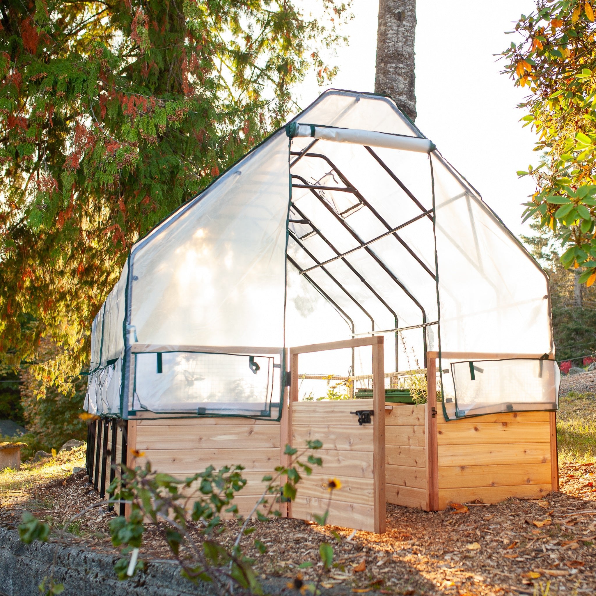 Cedar Complete Raised Garden Bed Kit with Greenhouse Cover 8' x 12' option3