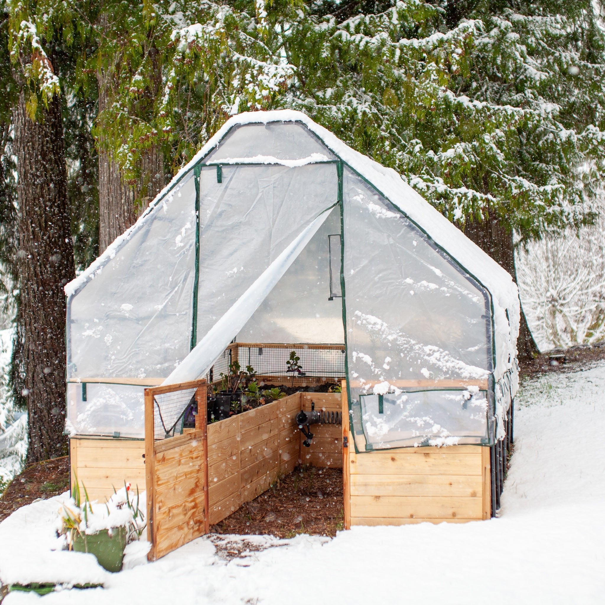 Cedar Complete Raised Garden Bed Kit with Greenhouse Cover 8' x 12'