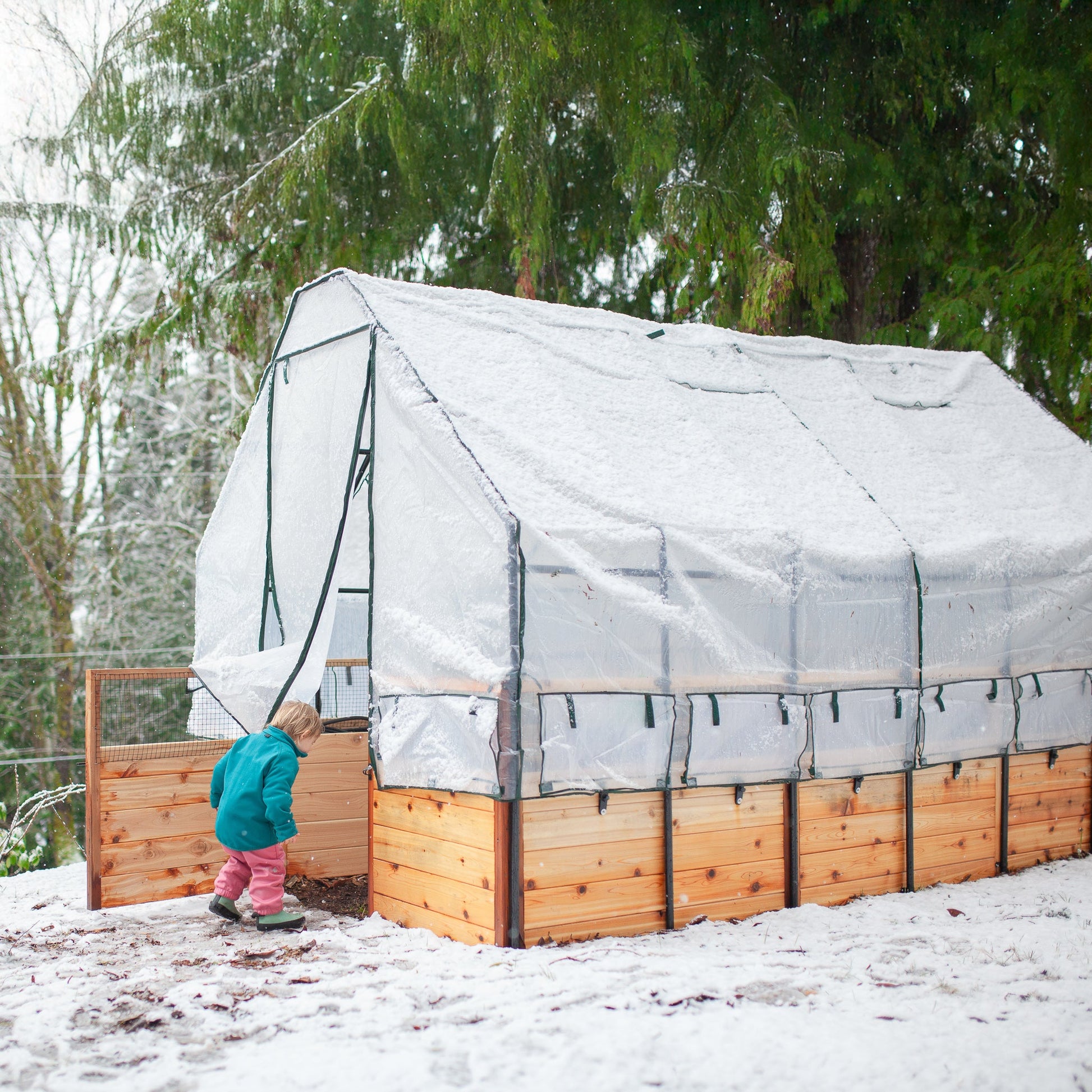 Cedar Complete Raised Garden Bed Kit with Greenhouse Cover 8' x 12'