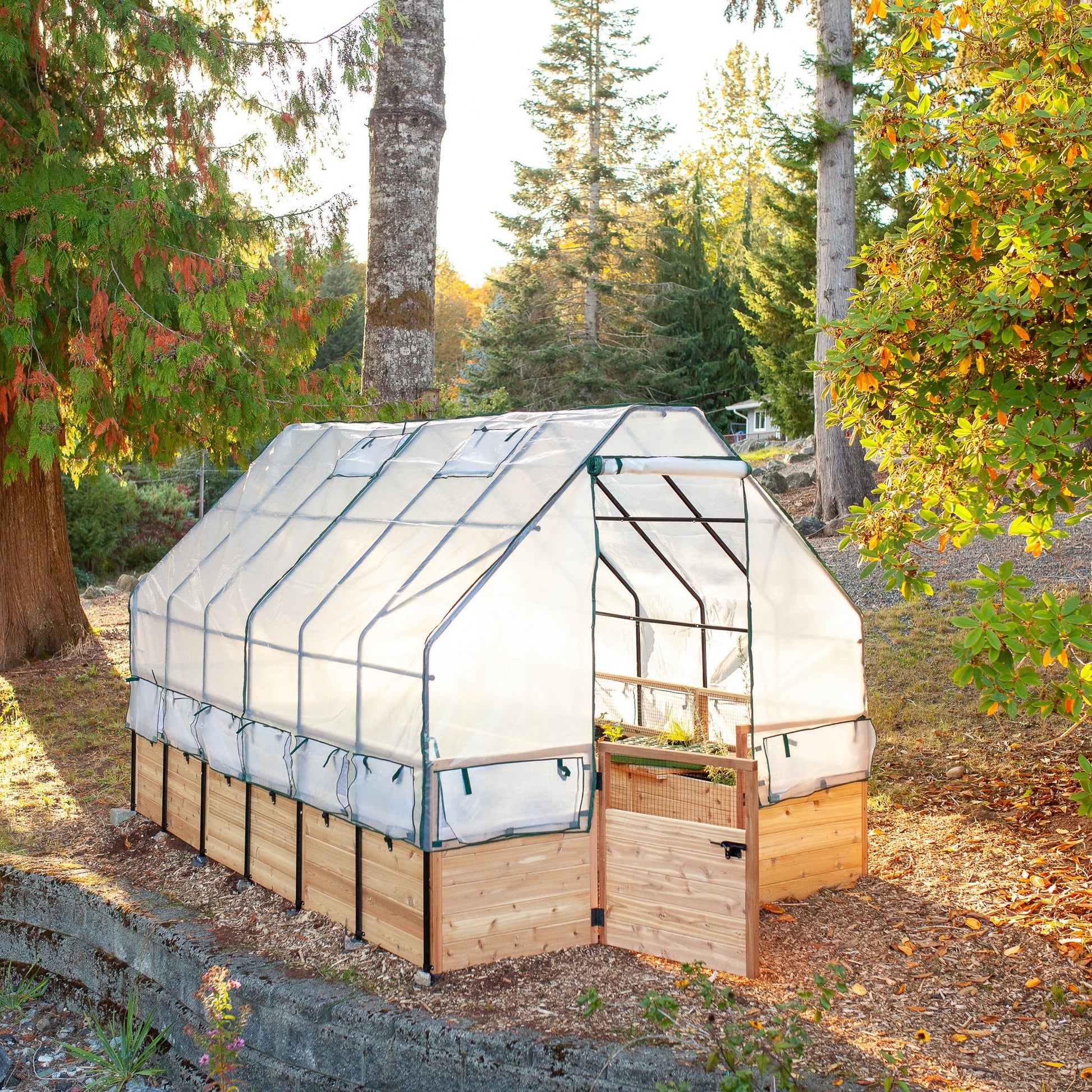 Cedar Complete Raised Garden Bed Kit with Greenhouse Cover 8' x 12'