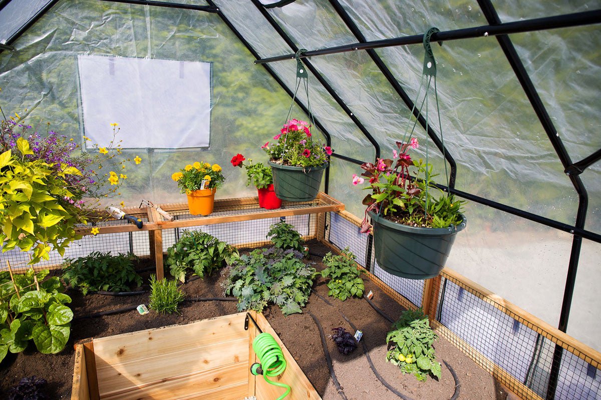 Cedar Complete Raised Garden Bed Kit with Greenhouse Cover 8' x 16' option3