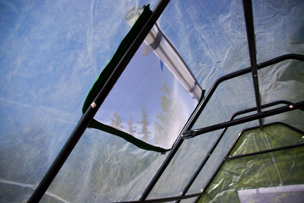 Insect Screen