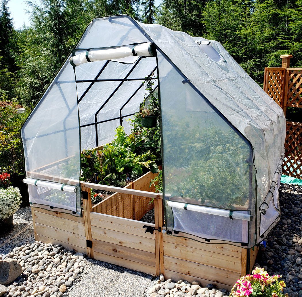 Cedar Complete Raised Garden Bed Kit with Greenhouse Cover 8' x 8' option3