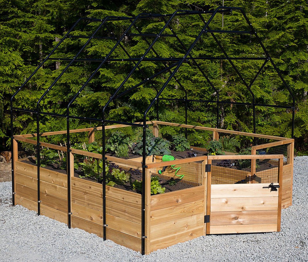 Cedar Complete Raised Garden Bed Kit with Greenhouse Cover 8' x 8' option3