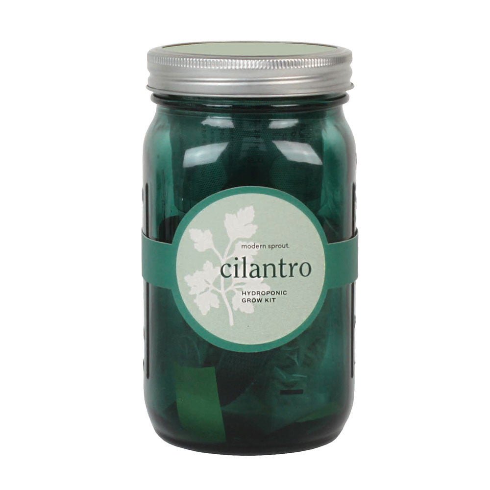 Cilantro Garden Jar option3