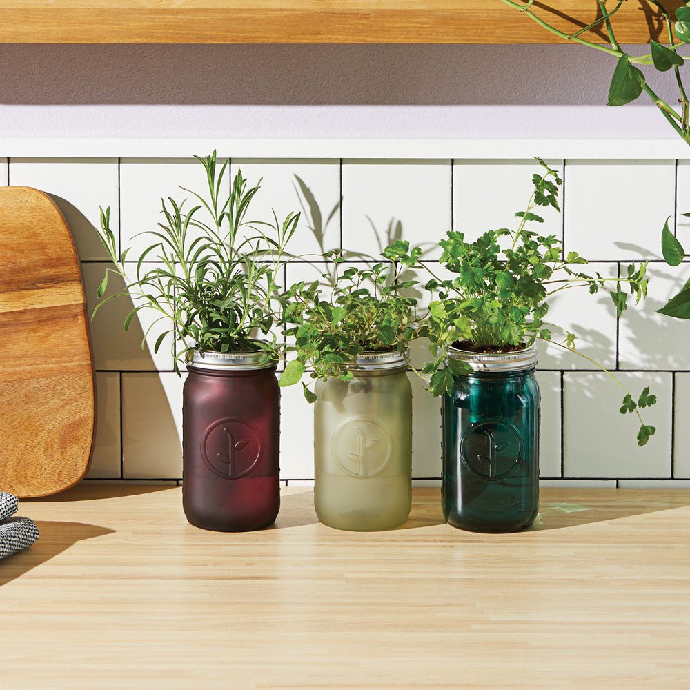 Cilantro Garden Jar