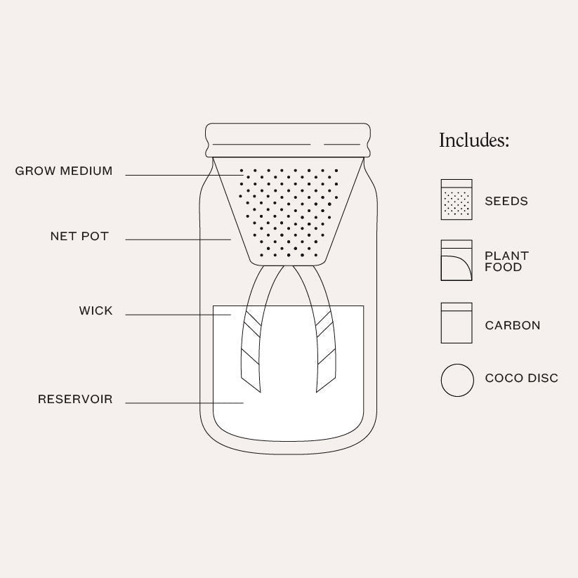 Cilantro Garden Jar