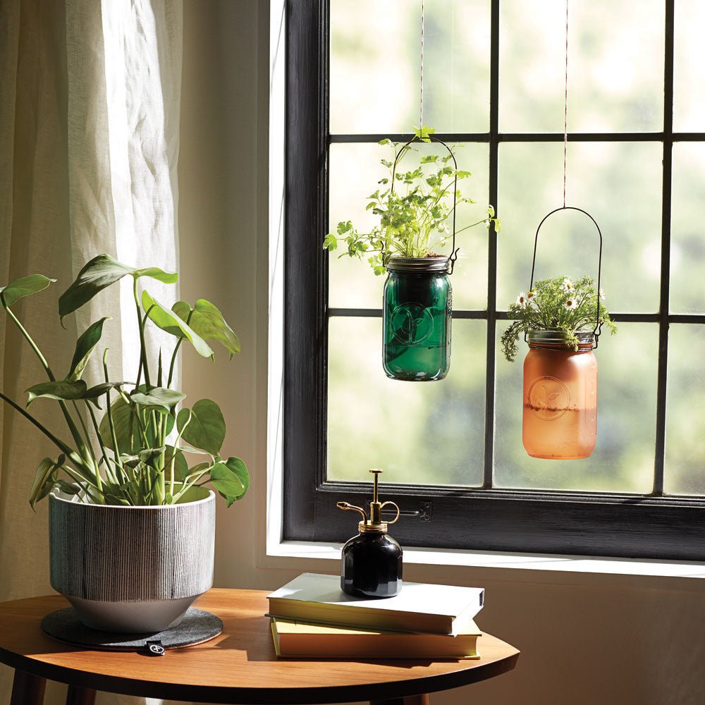 Cilantro Garden Jar