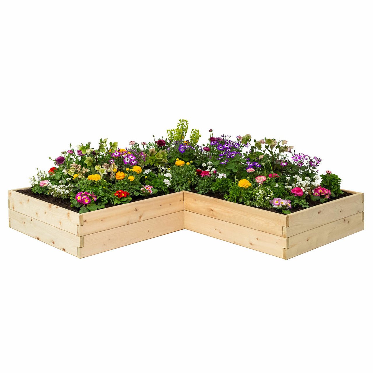 Classic Natural Cedar L-Shaped Raised Garden Beds 2' 4' 5.5"