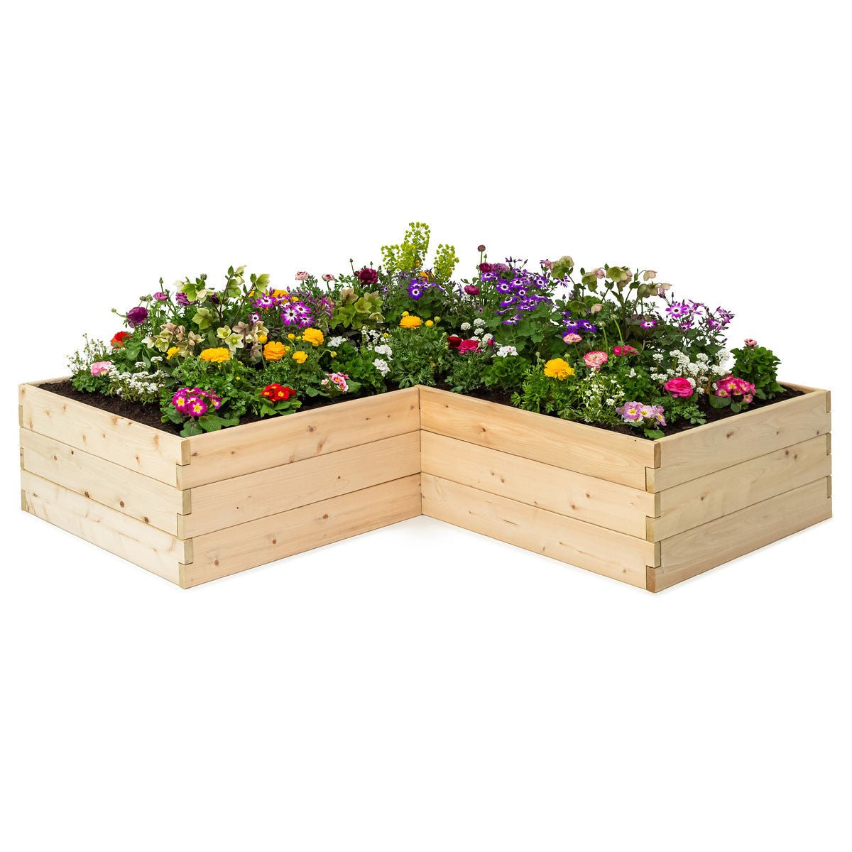 Classic Natural Cedar L-Shaped Raised Garden Beds 2' 4' 5.5"