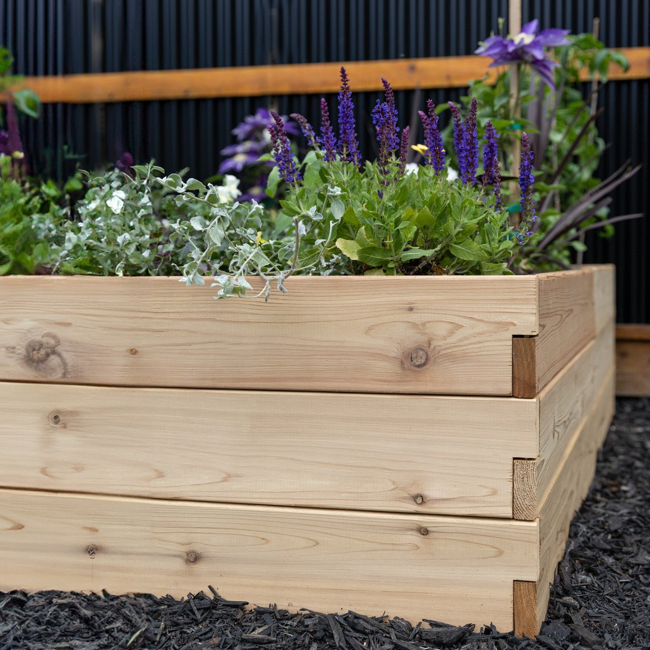 Classic Natural Cedar L-Shaped Raised Garden Beds 2' 4' 5.5"