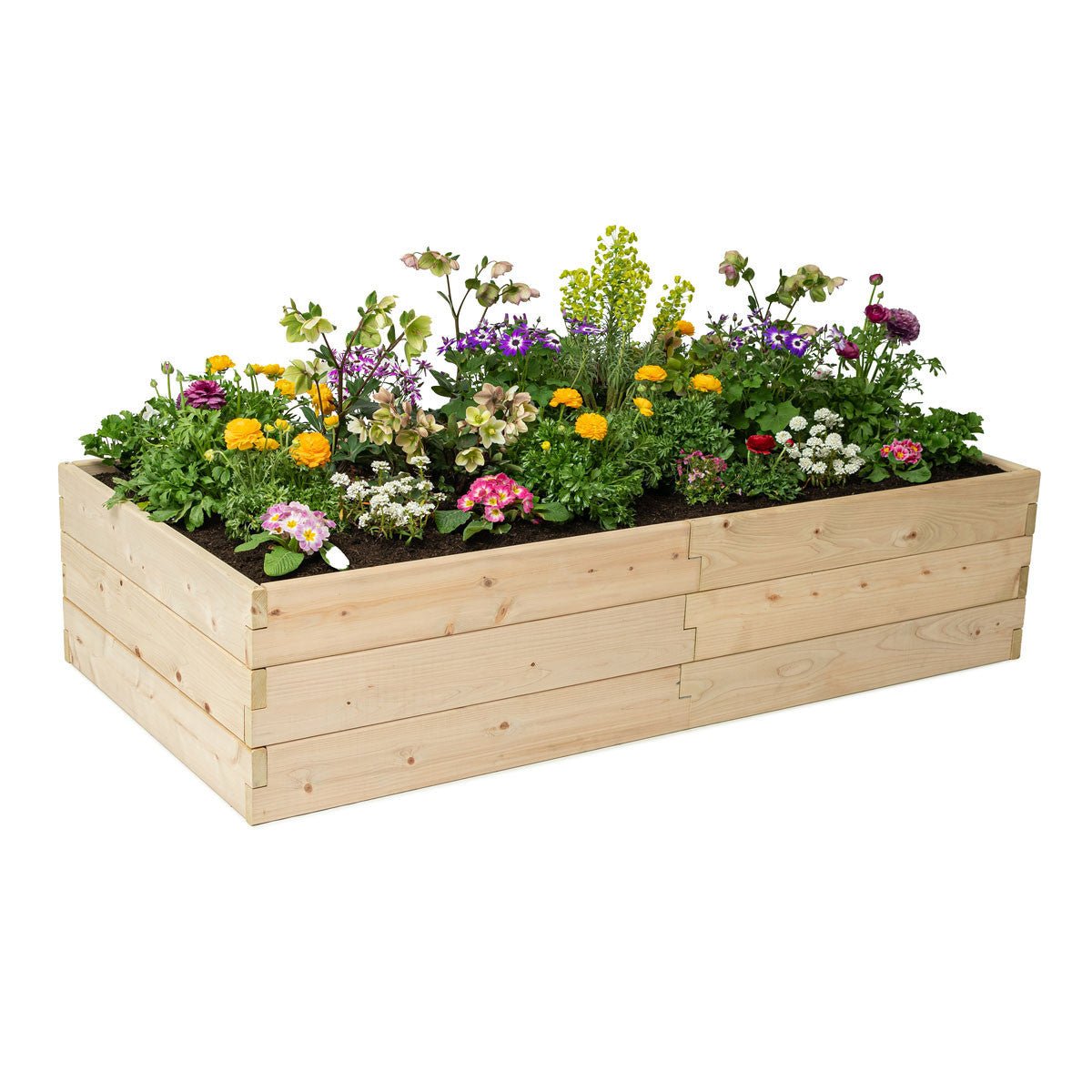 Classic Natural Cedar Raised Garden Beds 2' 2' 5.5"