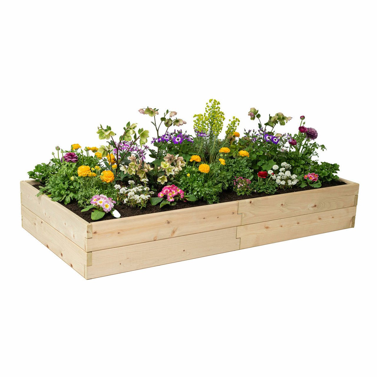 Classic Natural Cedar Raised Garden Beds 2' 2' 5.5"