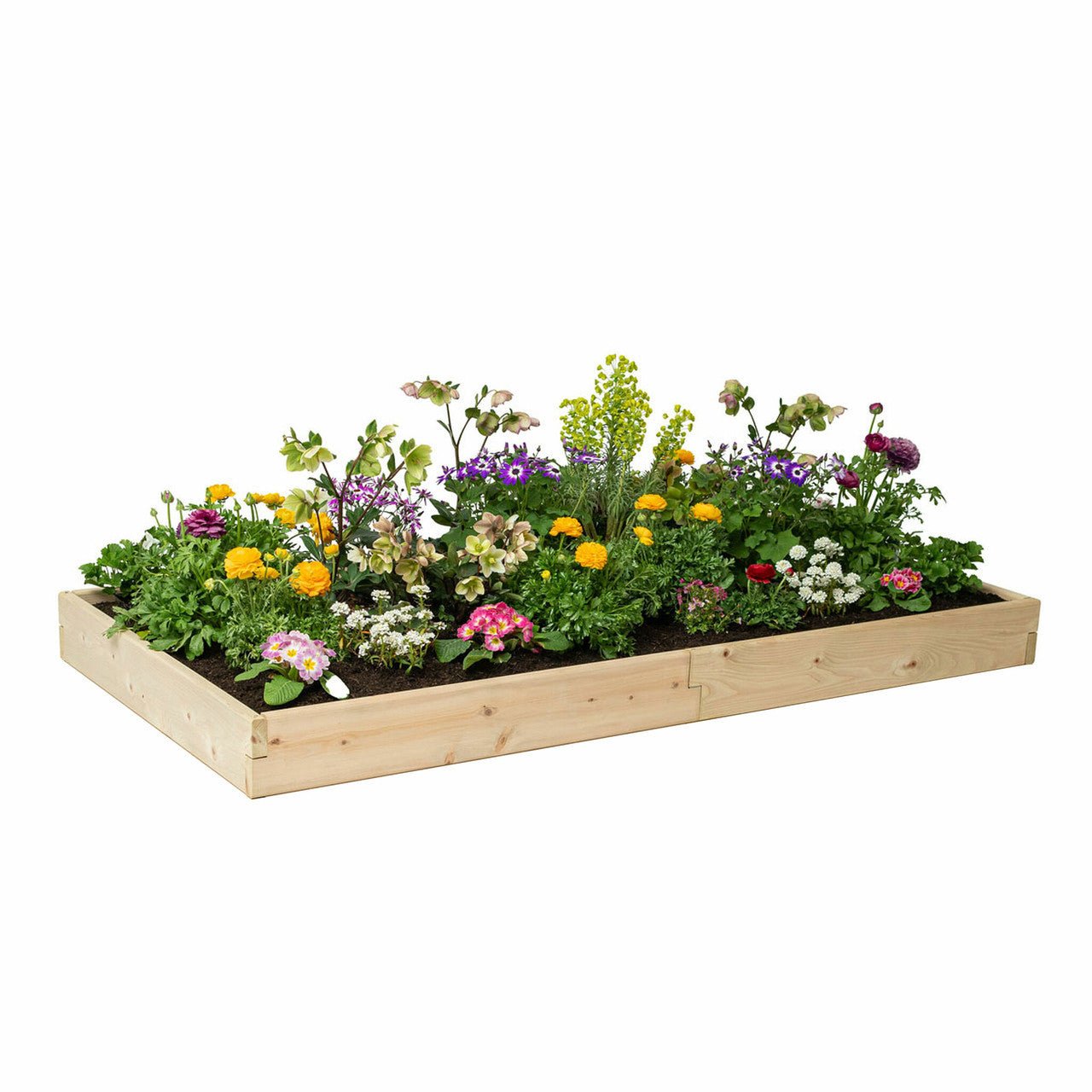 Classic Natural Cedar Raised Garden Beds 2' 2' 5.5"
