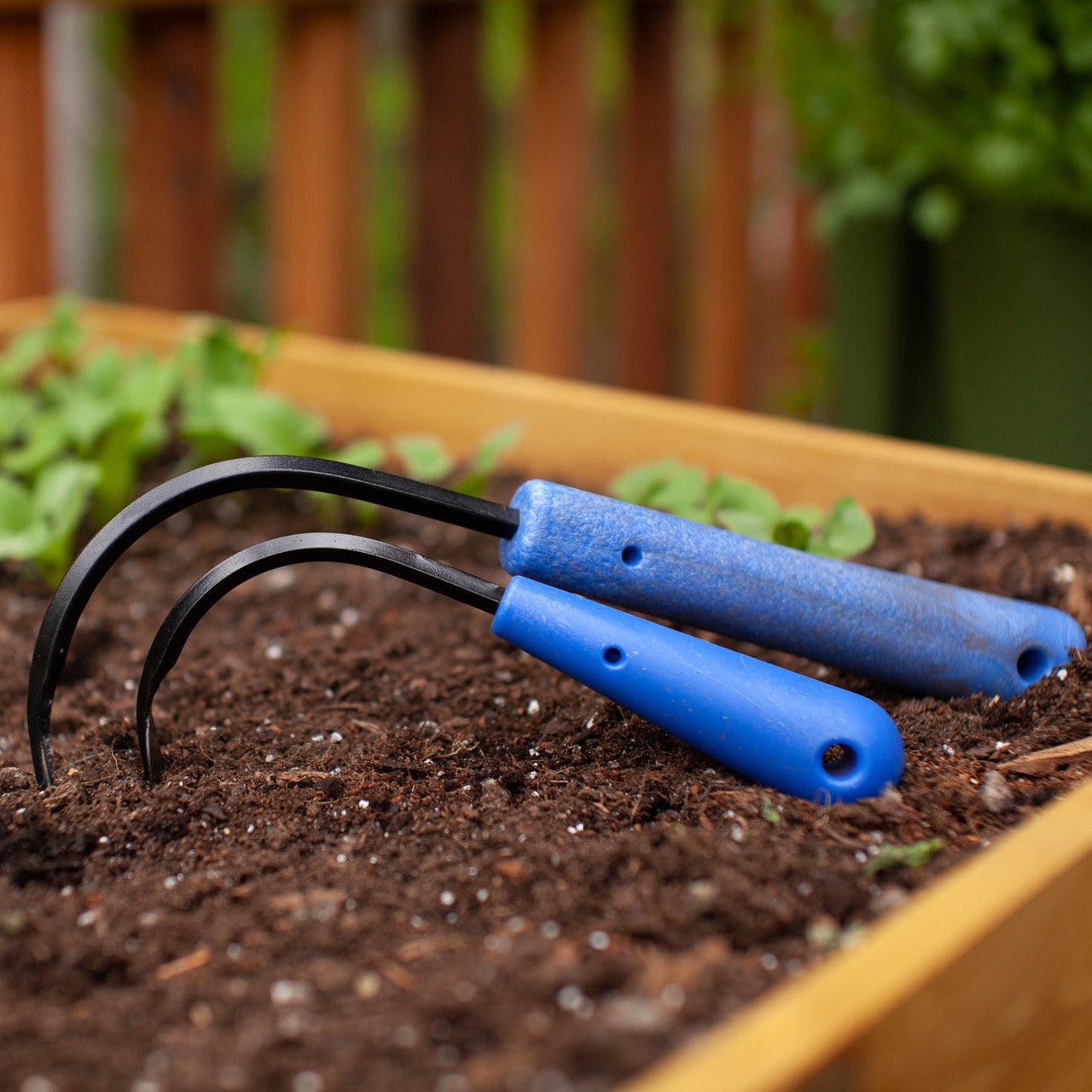 CobraHead Precision Weeder and Cultivator
